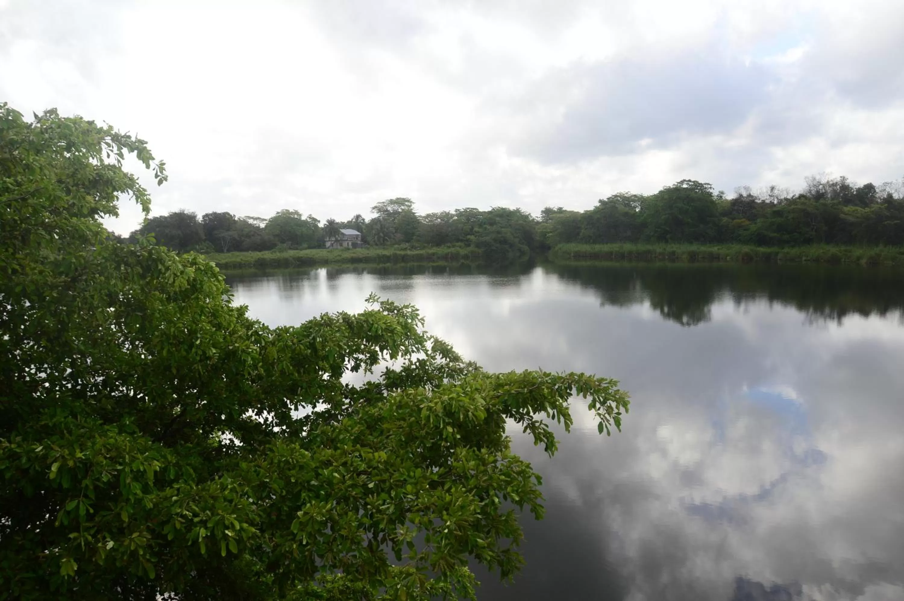 View (from property/room) in Lamanai Hotel & Marina
