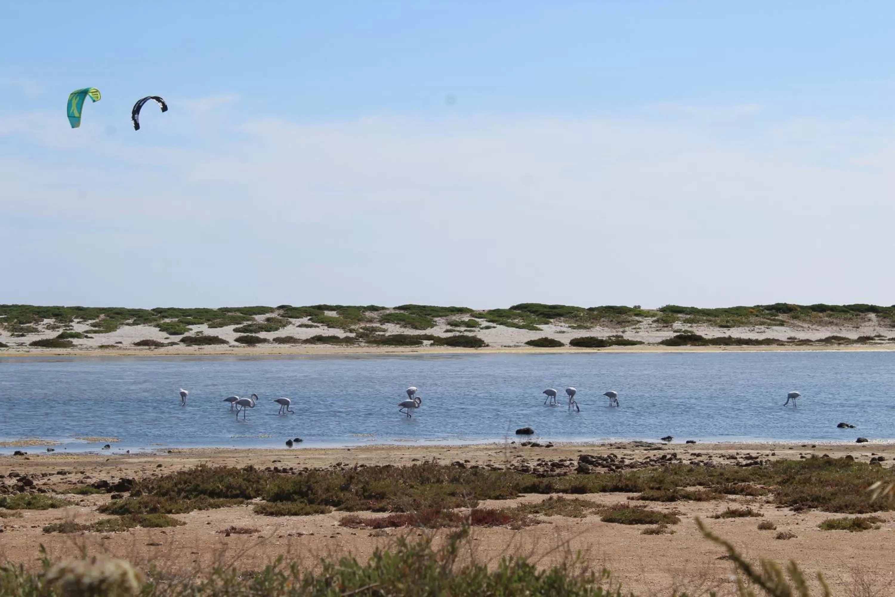 Beach in Bed & Breakfast Paui
