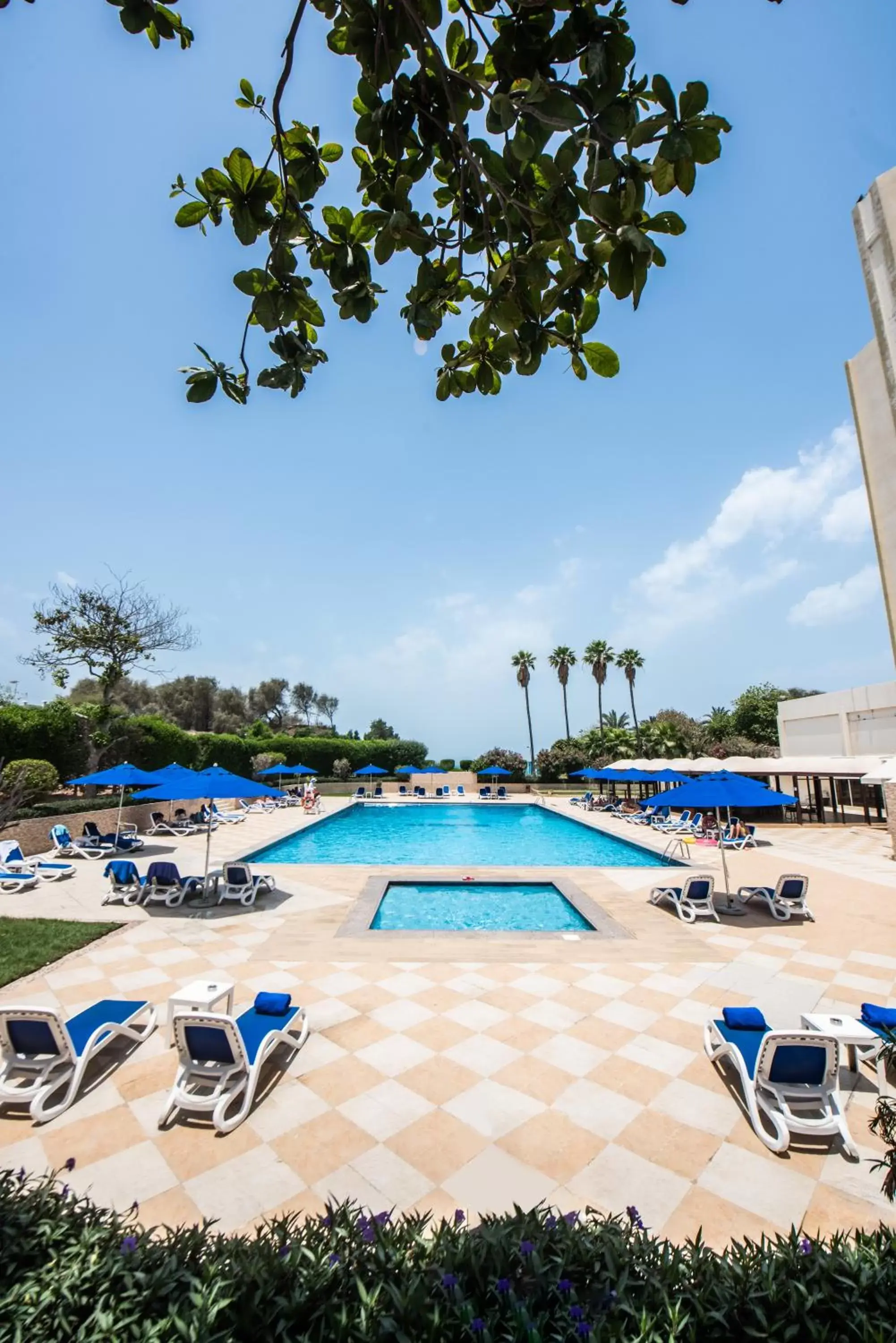 Swimming Pool in BM Beach Hotel