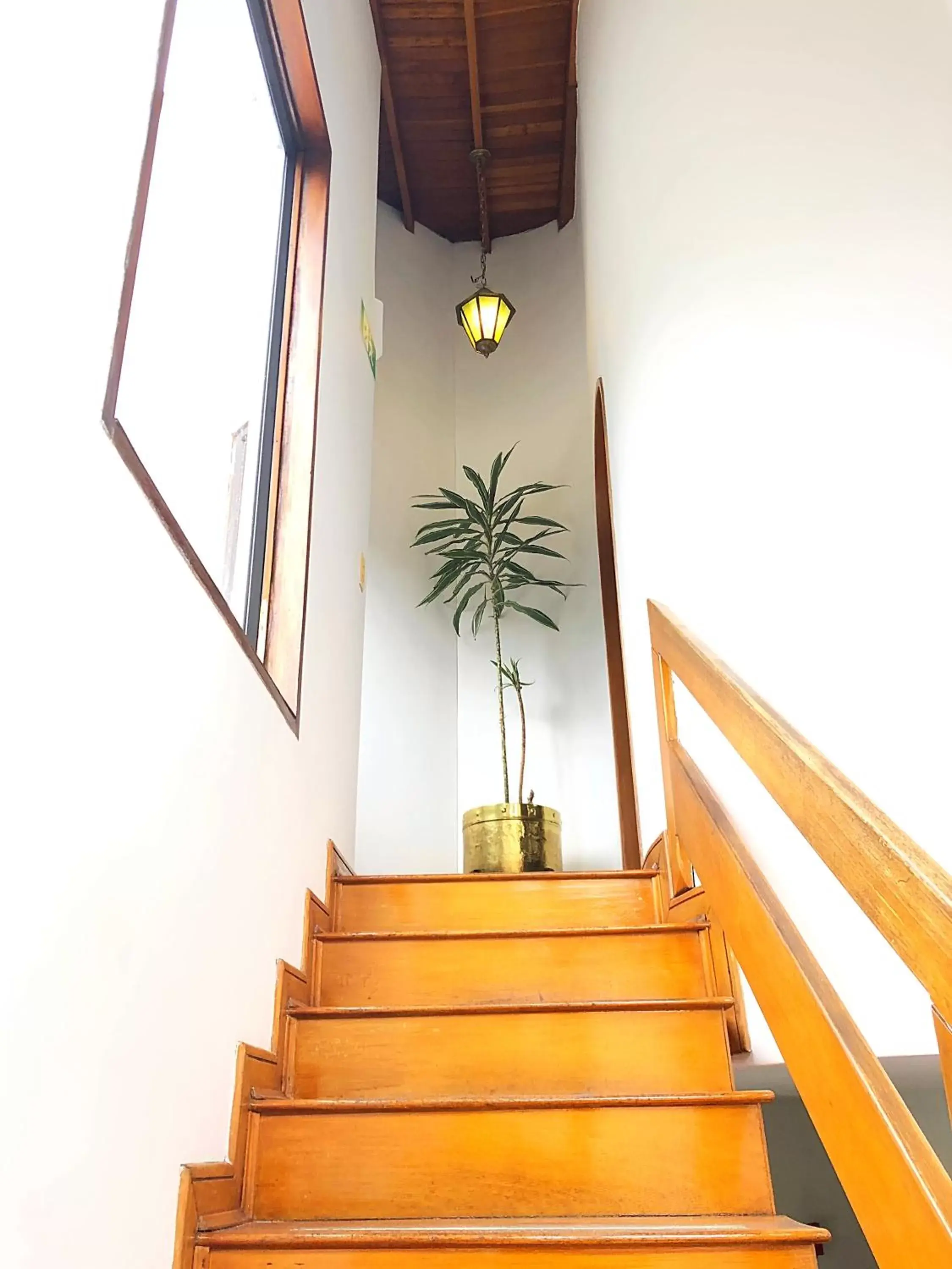 Facade/entrance in Casa Rosales Facade/entrance in Casa Rosales