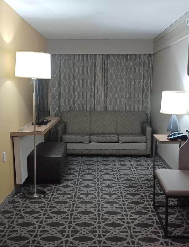 Living room in Holiday Inn - McAllen - Medical Center Area by IHG