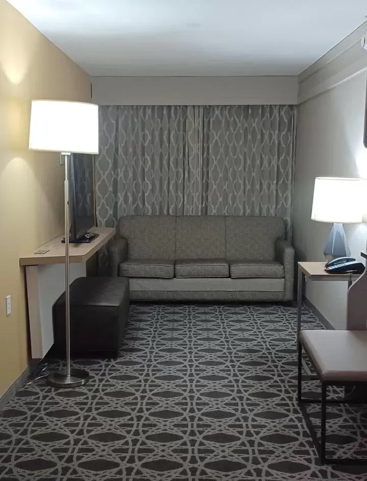 Living room, Seating Area in Holiday Inn - McAllen - Medical Center Area, an IHG Hotel