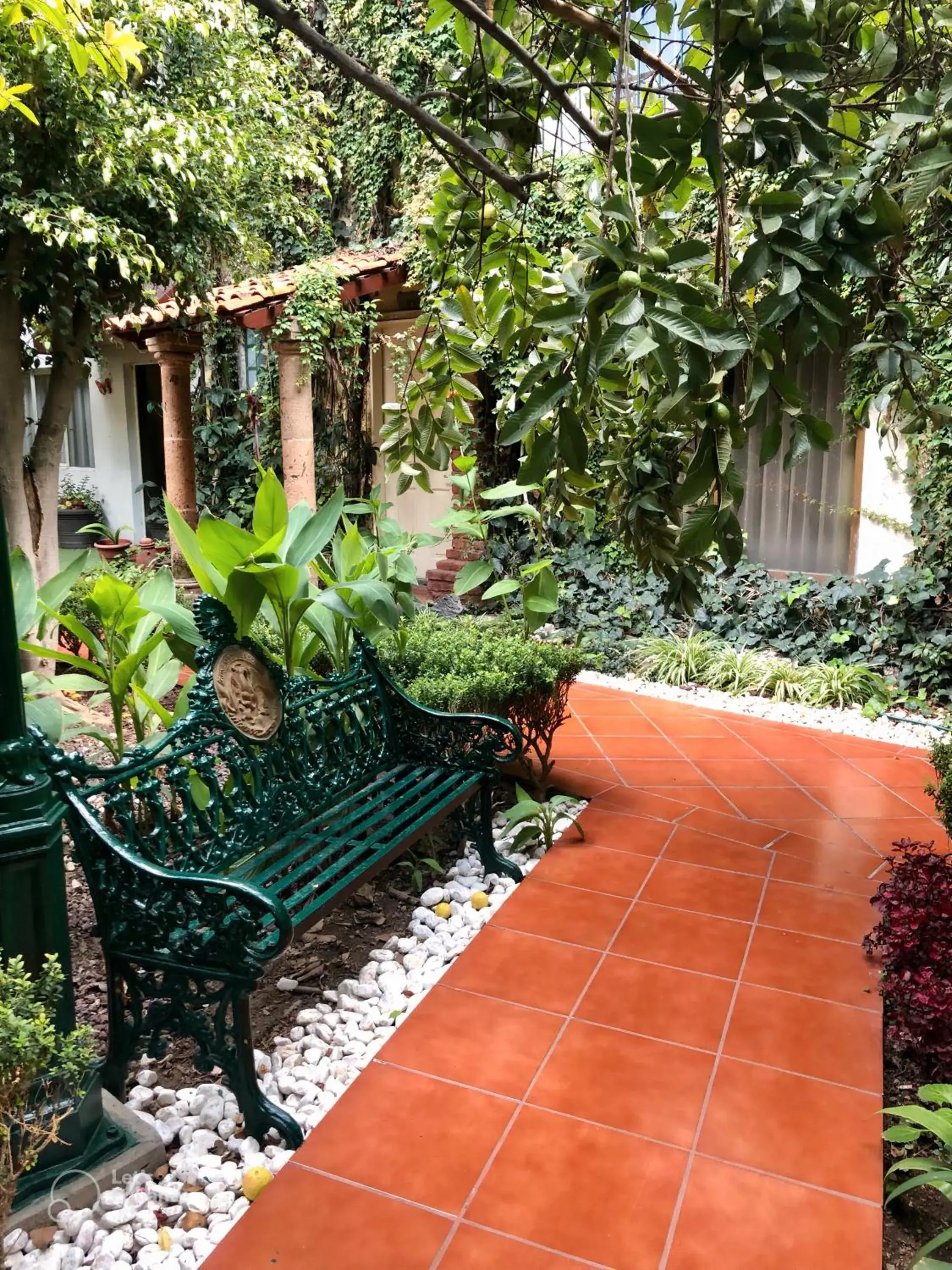 Garden in Hotel Inn Galerias