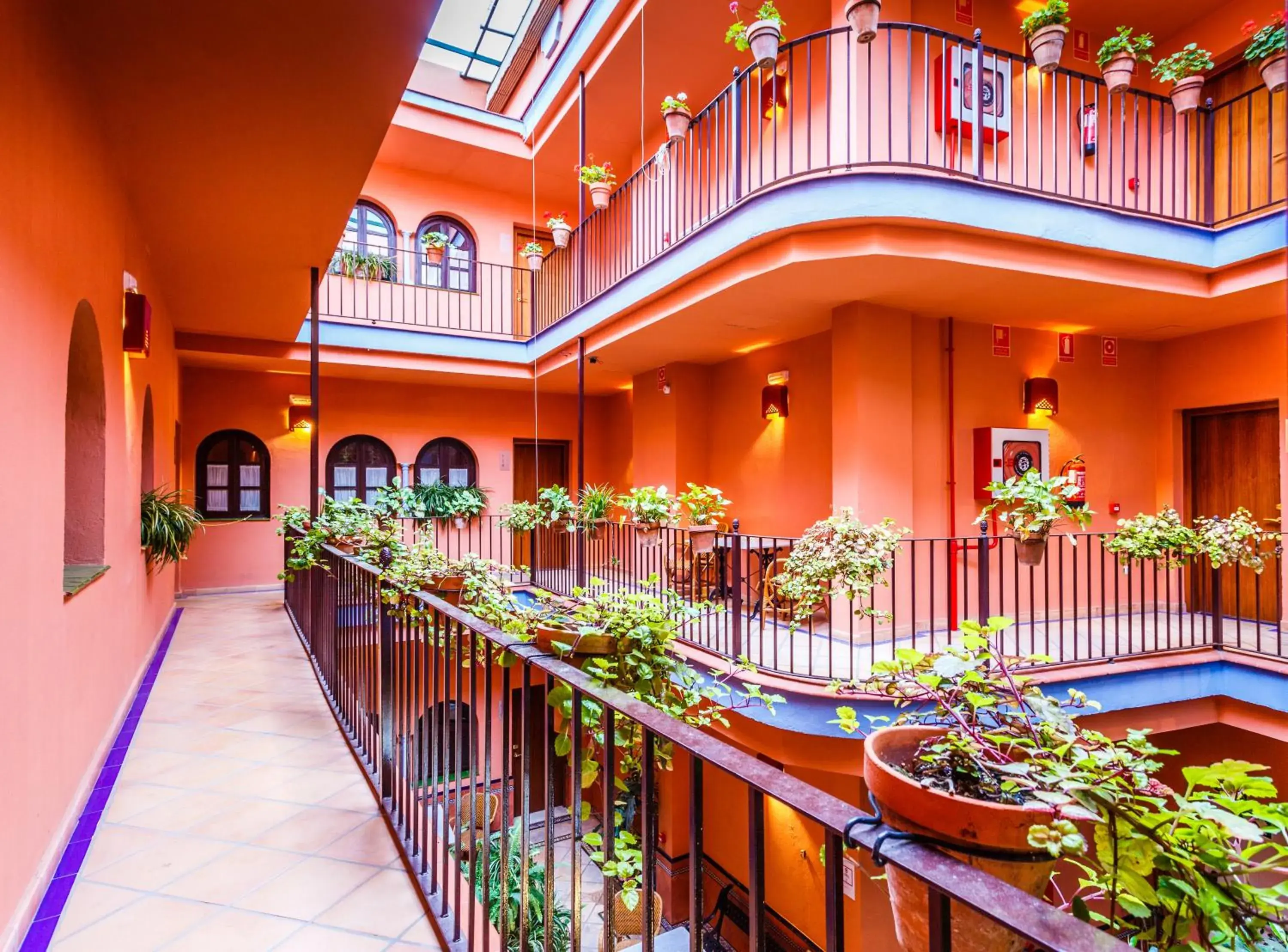 Patio in Patio de La Alameda