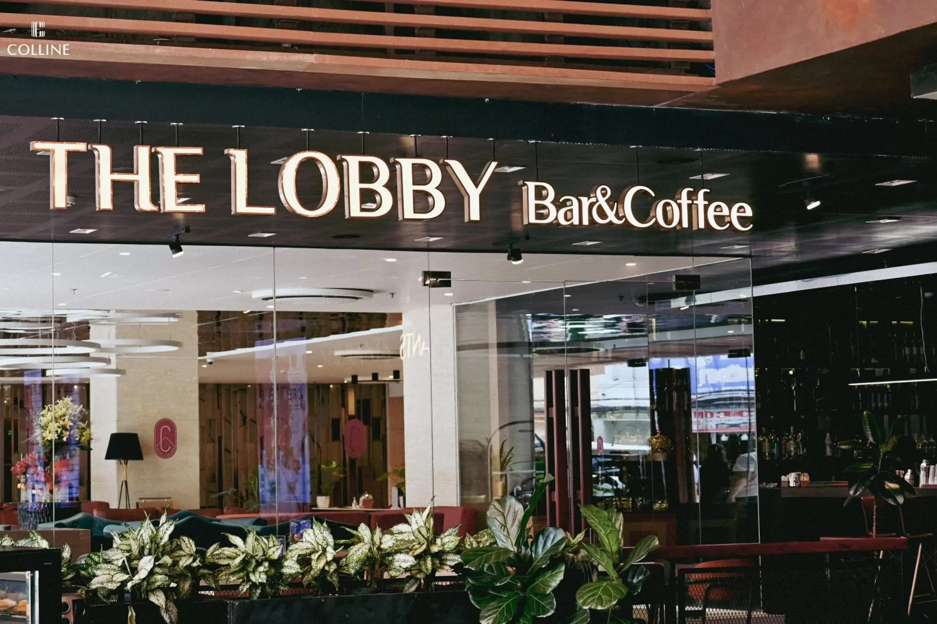 Lounge or bar in Colline Dalat Lounge or bar in Colline Dalat