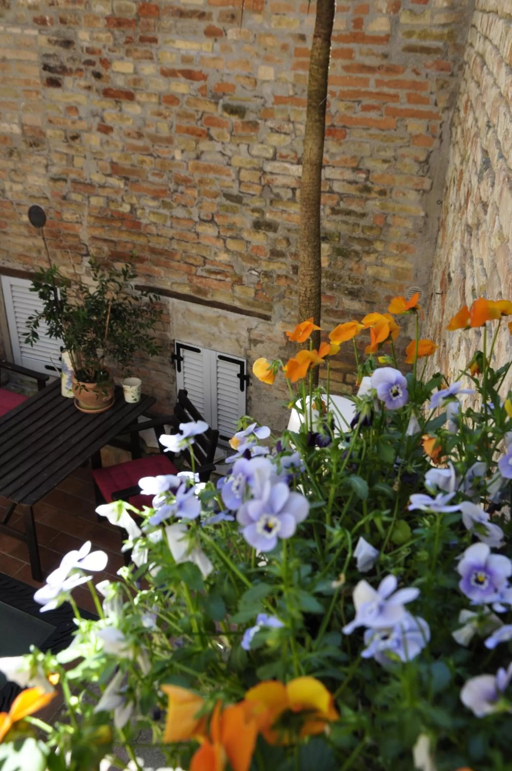 Facade/entrance in B&B Albornoz