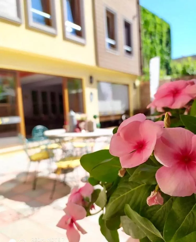 Patio in Set Özer Hotel