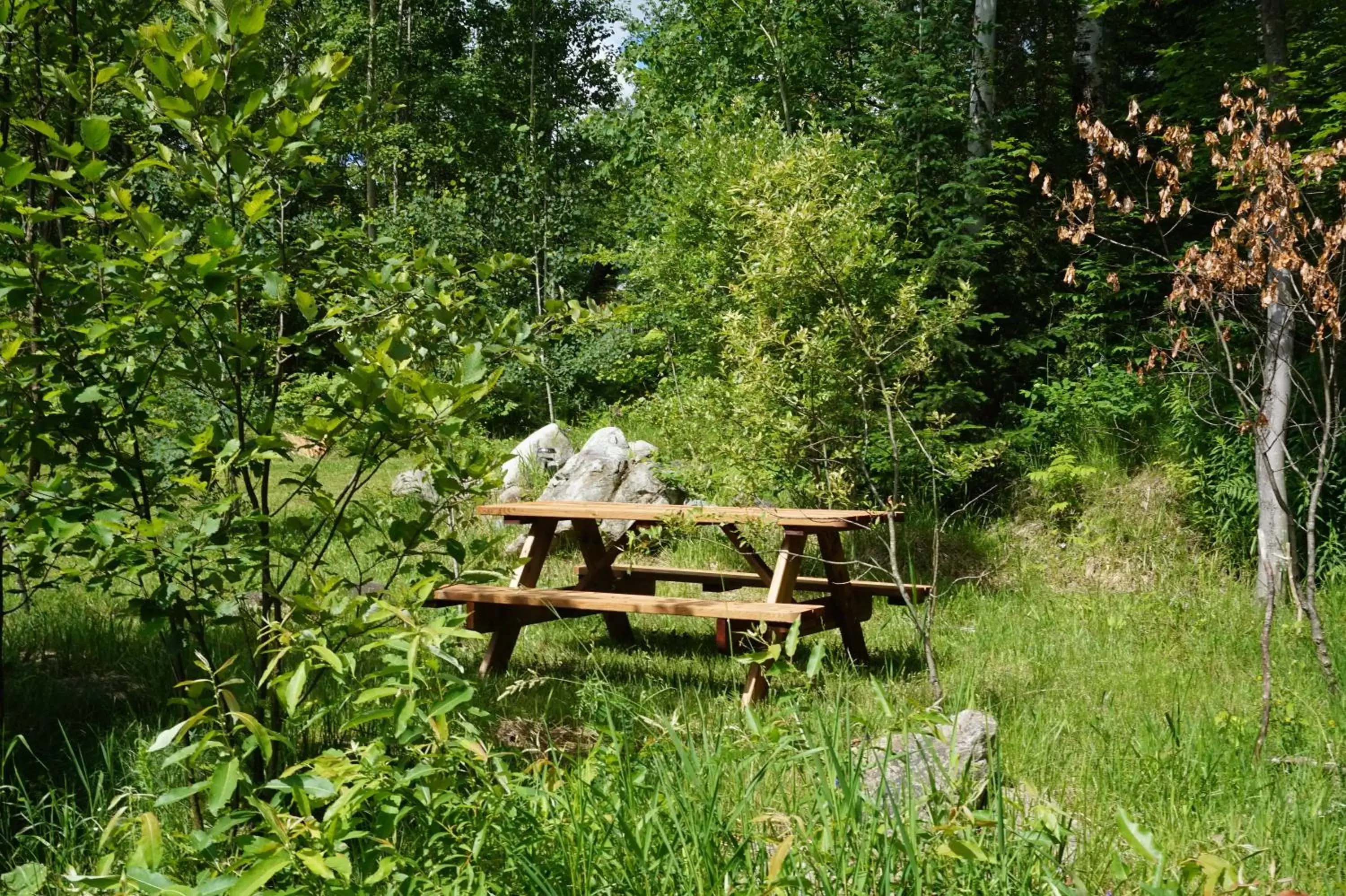 Garden in Gite L'Antre d'Eux