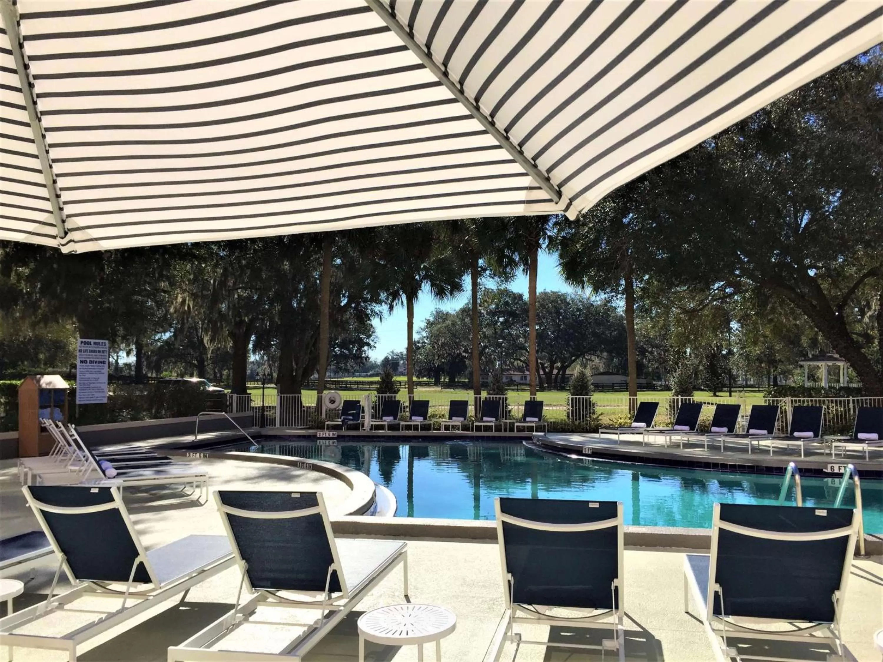 Pool view in Hilton Ocala