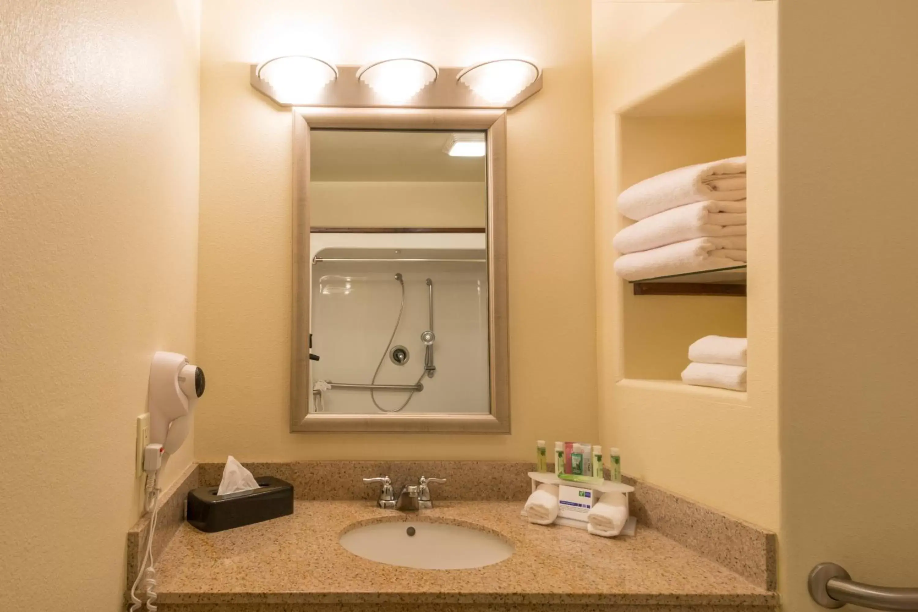 Photo of the whole room, Bathroom in Holiday Inn Express Hotel & Suites Alamosa, an IHG Hotel