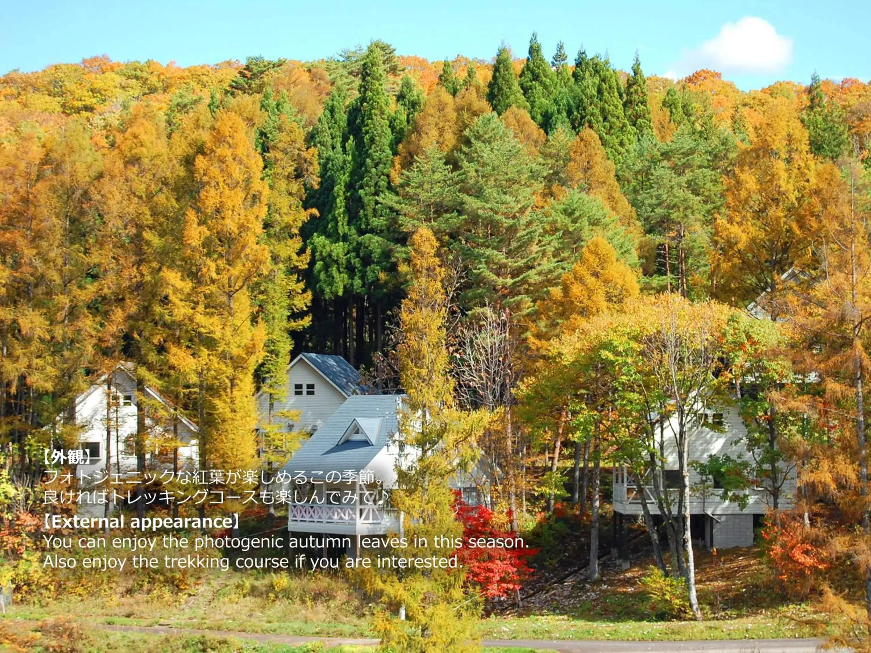 Bird's eye view in Resort Villa Takayama