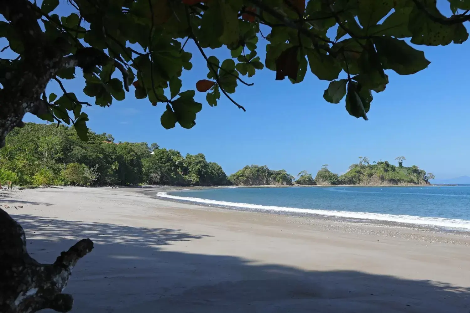 Natural landscape, Beach in Hotel Punta Leona