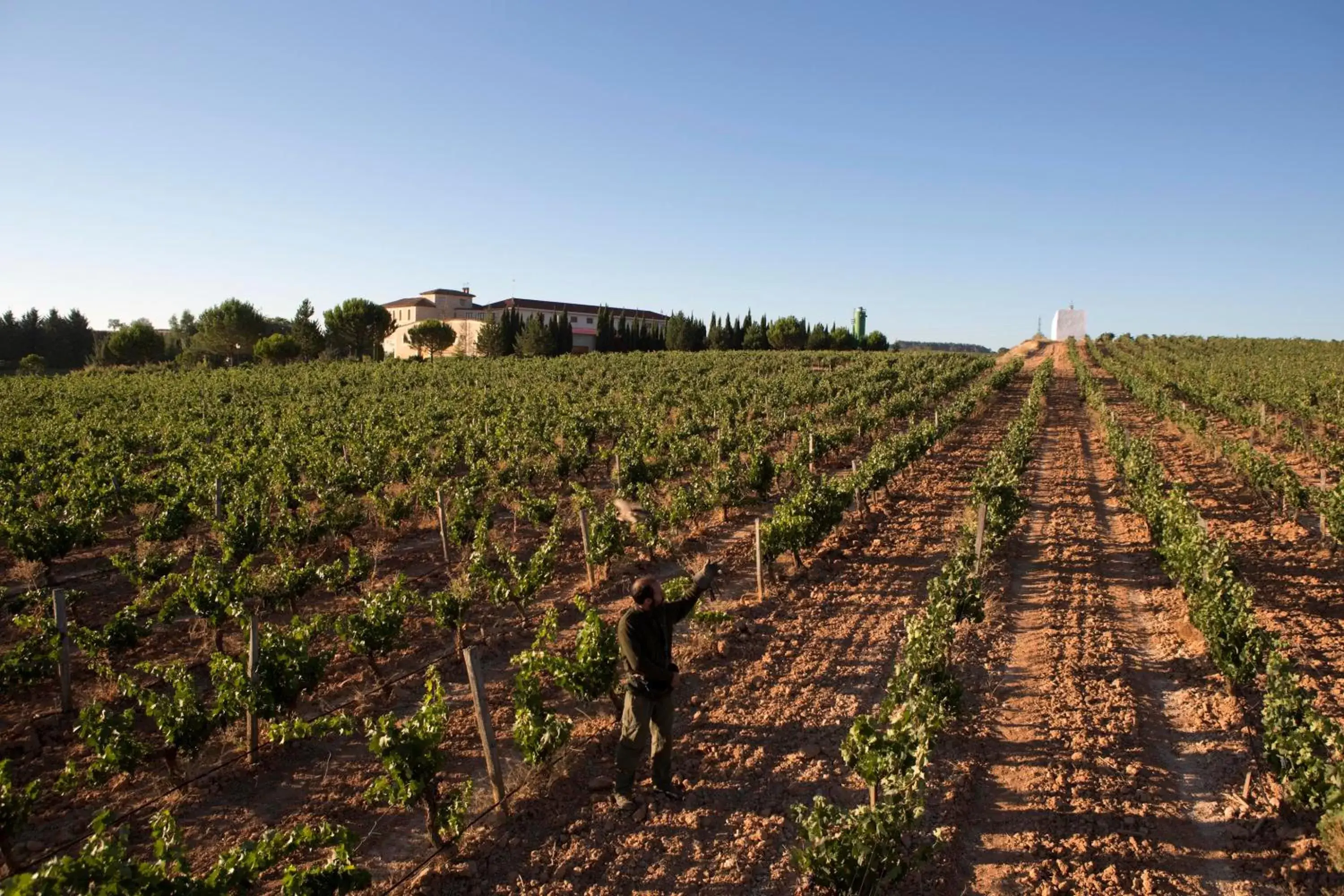 Natural landscape in Hotel Torremilanos