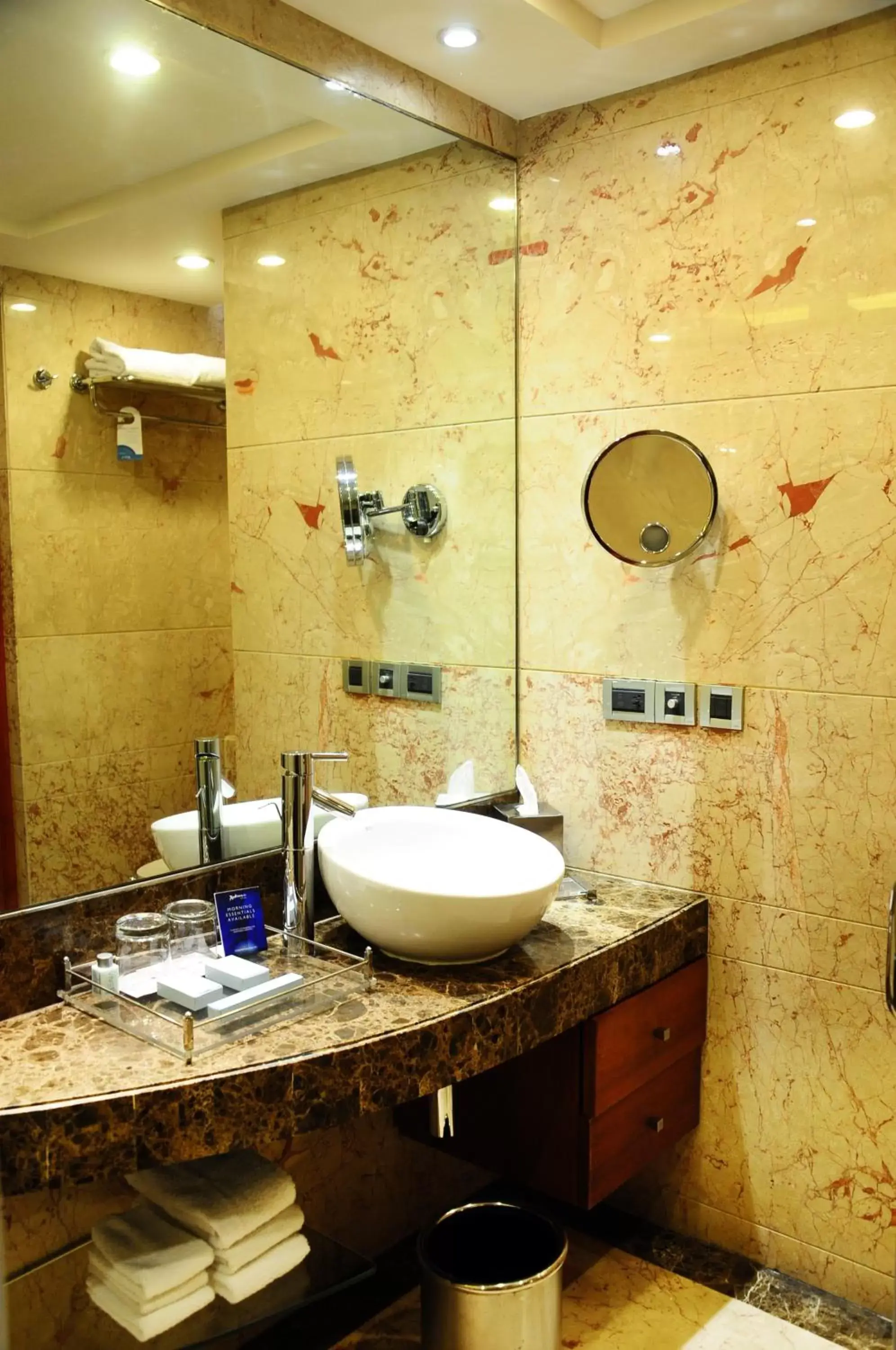 Bathroom in Radisson Blu Plaza Delhi Airport