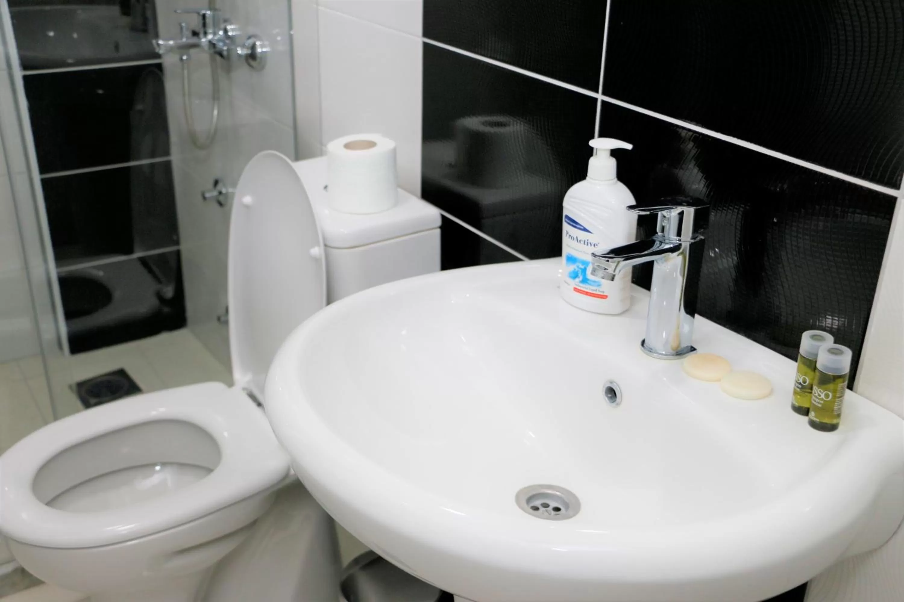 Decorative detail in Hotel Old Konak