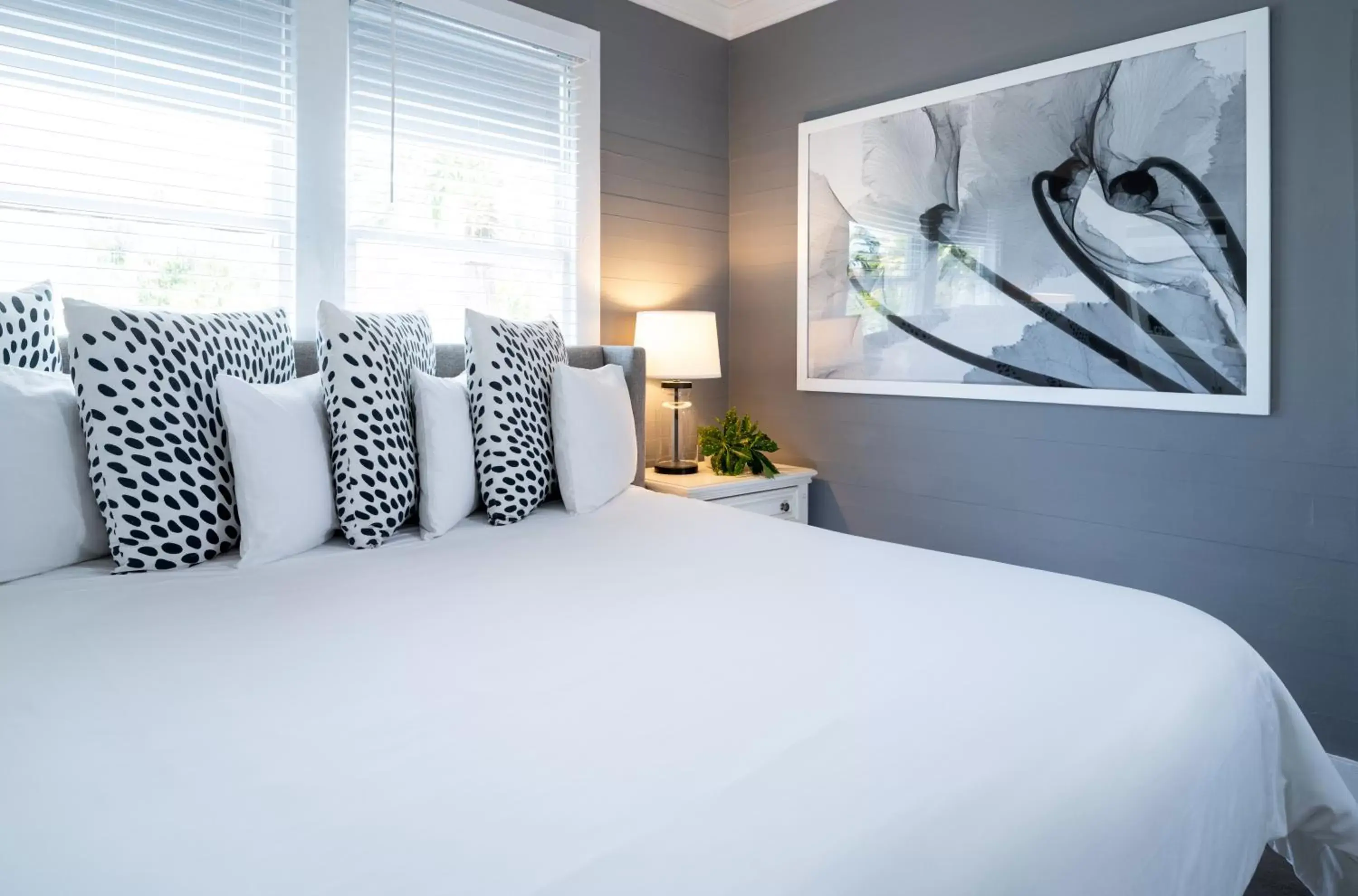 Room 1: King Room in Alexander's Gay Lesbian Guesthouse (Adult Only 21+) Room 1: King Room in Alexander's Gay Lesbian Guesthouse (Adult Only 21+)