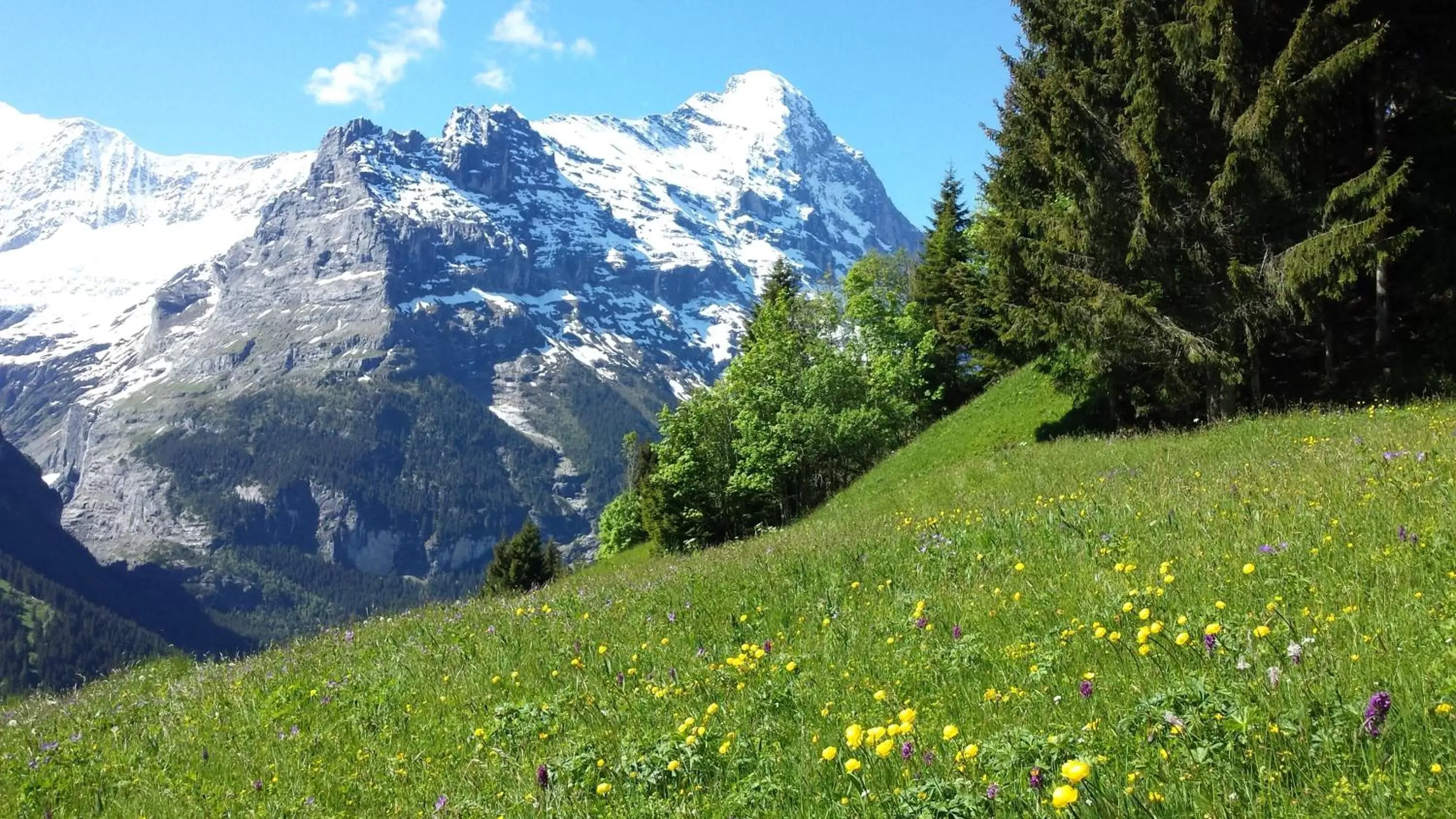 Natural Landscape in Hotel Tschuggen