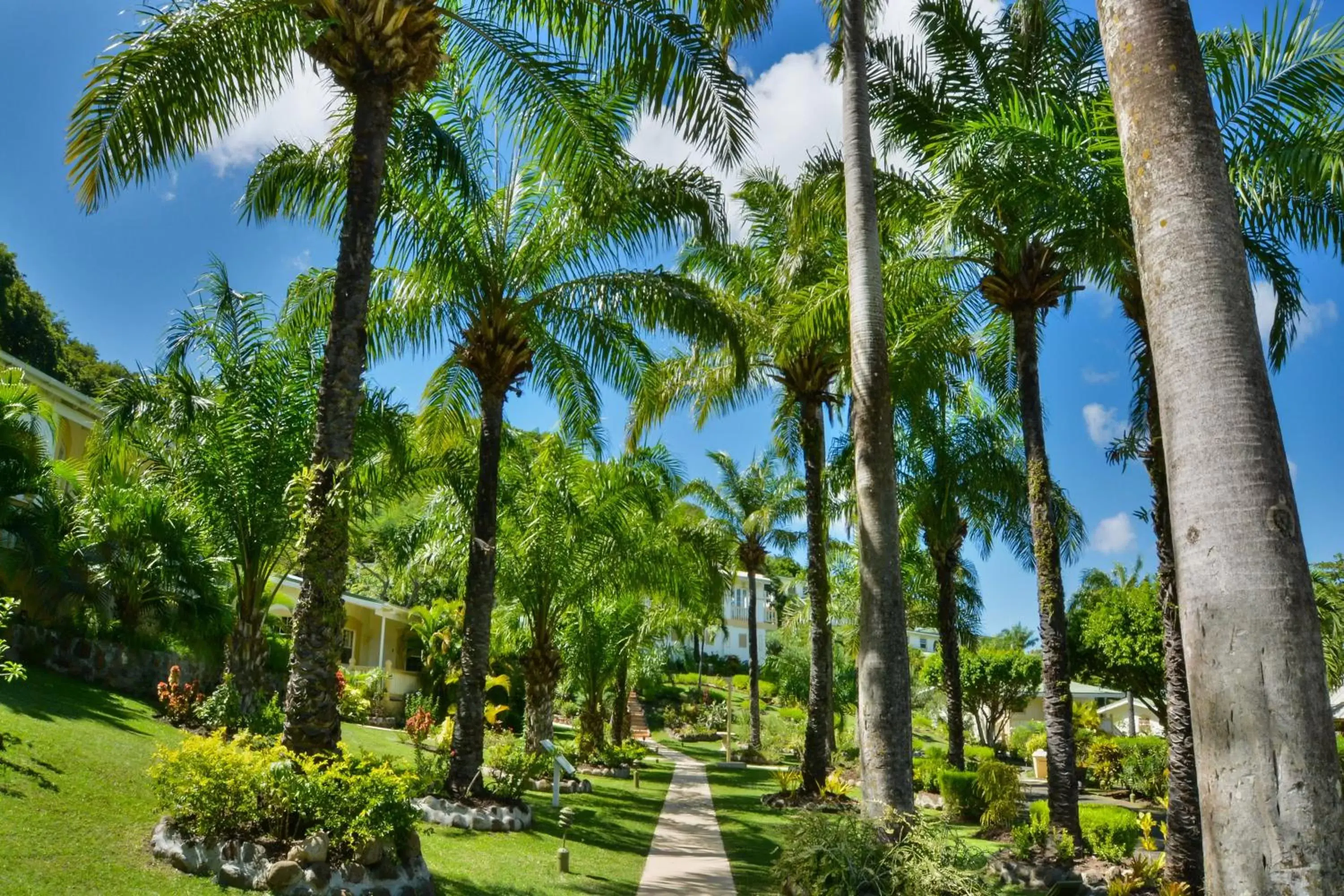 Garden in Blue Horizons Garden Resort