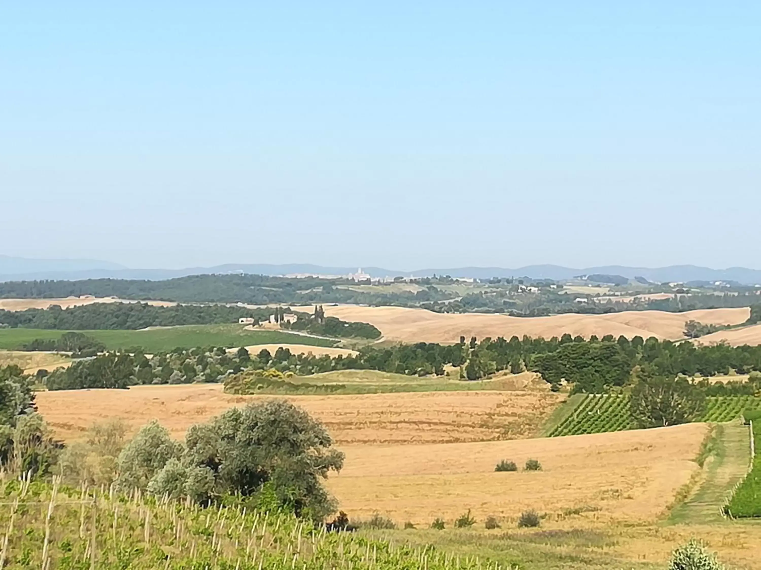 Natural landscape in Villa Curina Resort