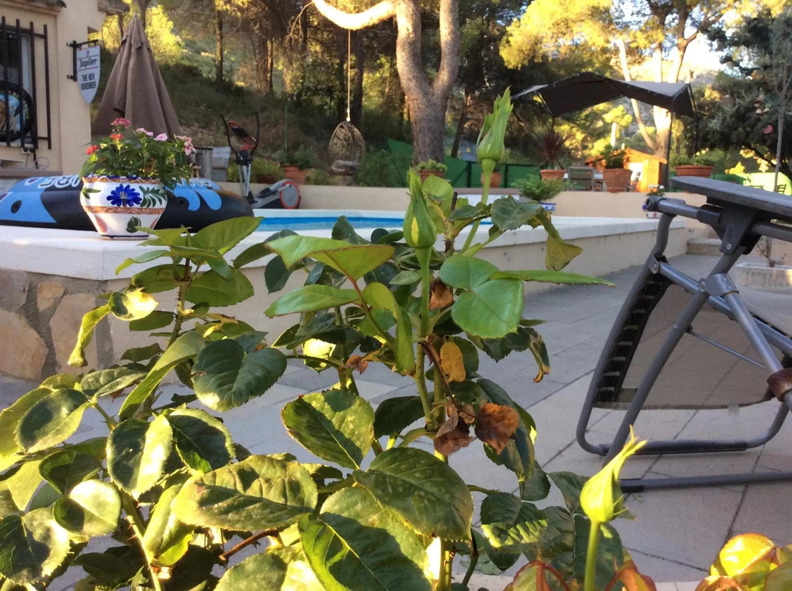 Swimming Pool in Casa Jetizo