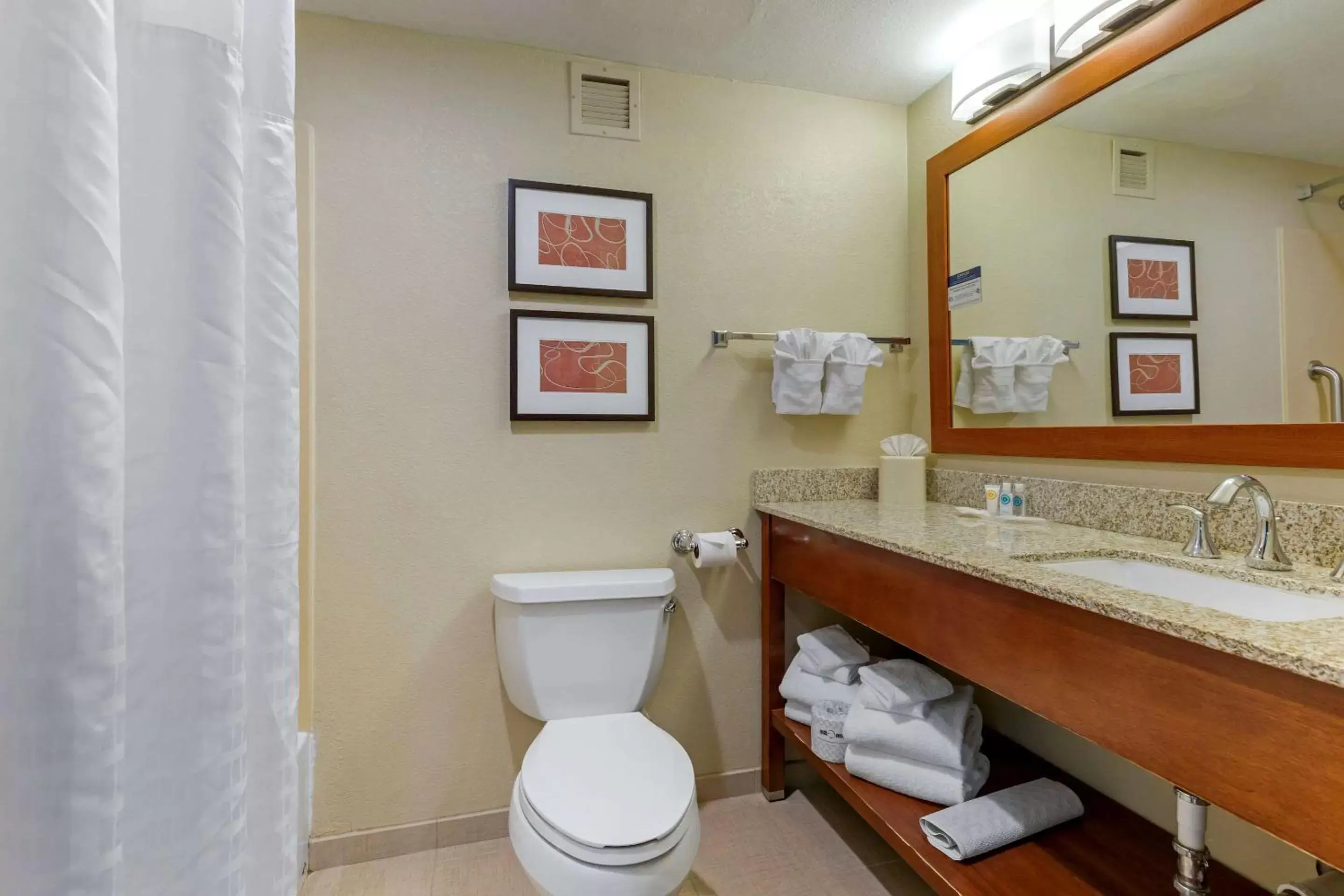 Bathroom in Comfort Suites Fredericksburg South