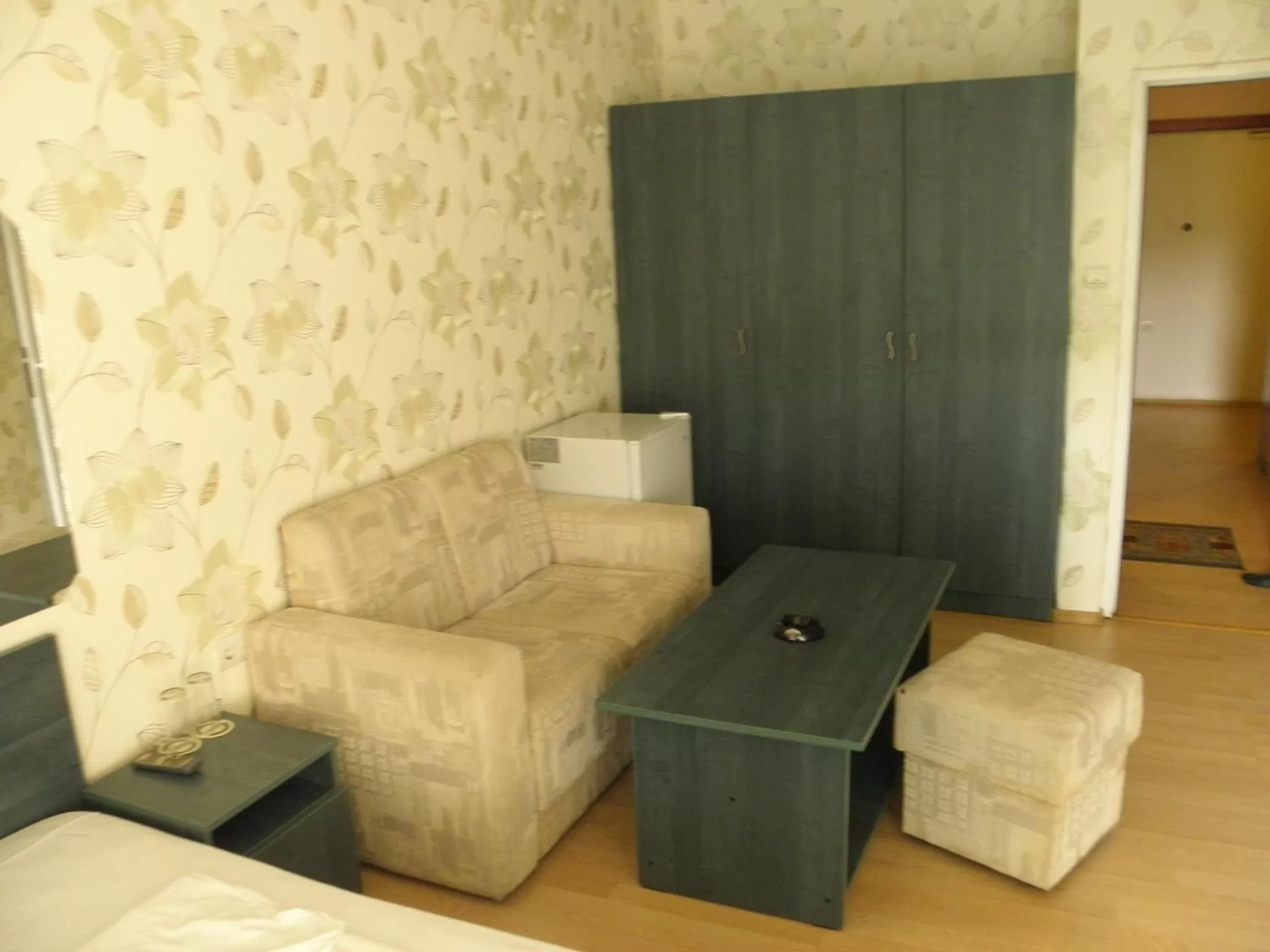 Living room in Hotel Pilevski