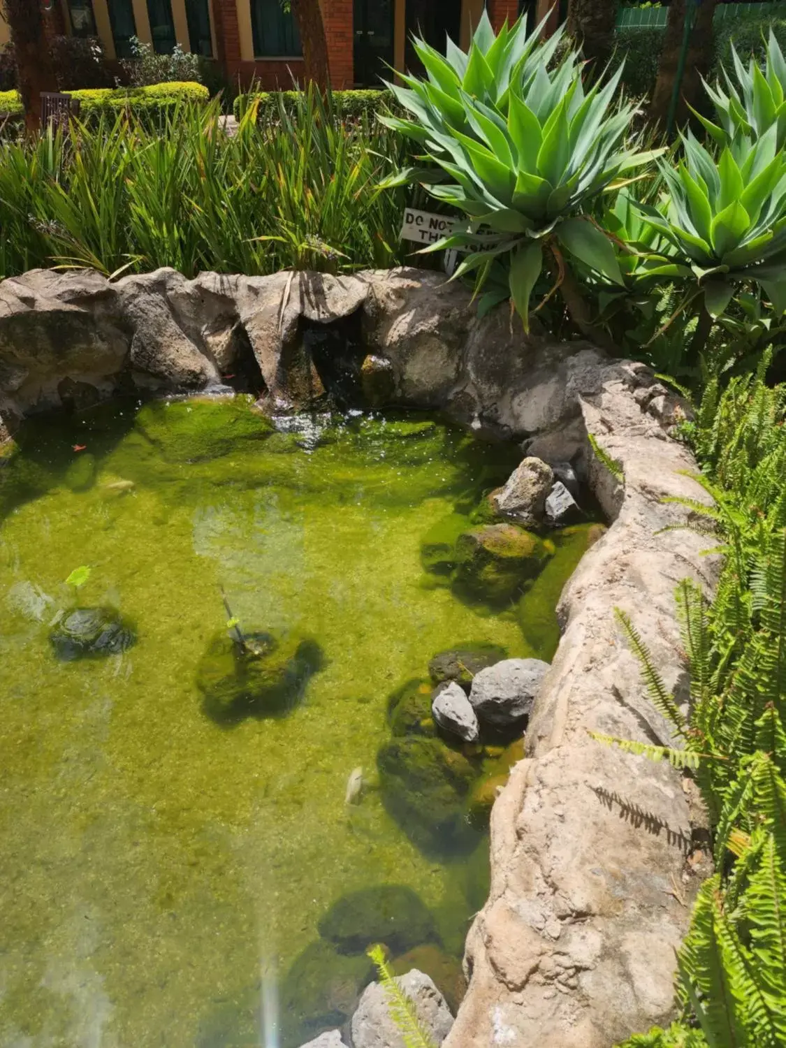 Garden in Boma Inn Nairobi