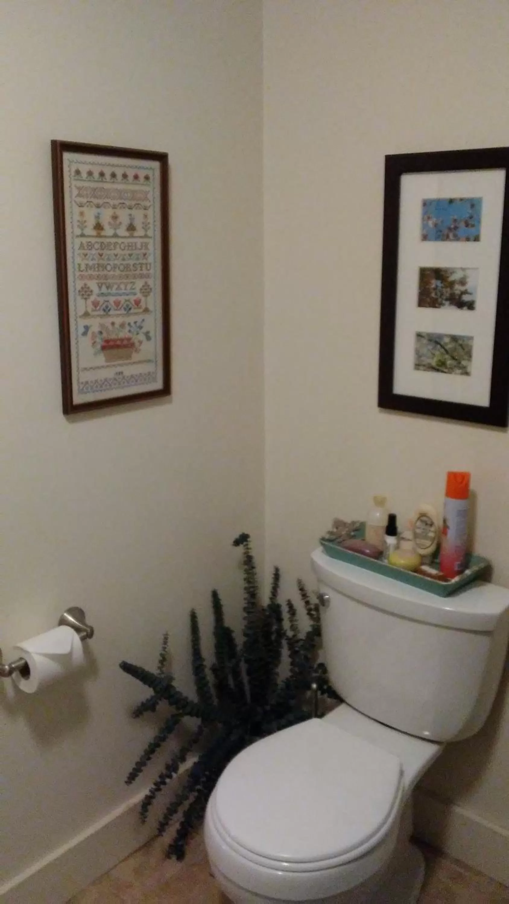 Toilet, Bathroom in 13 Hills Bed & Breakfast