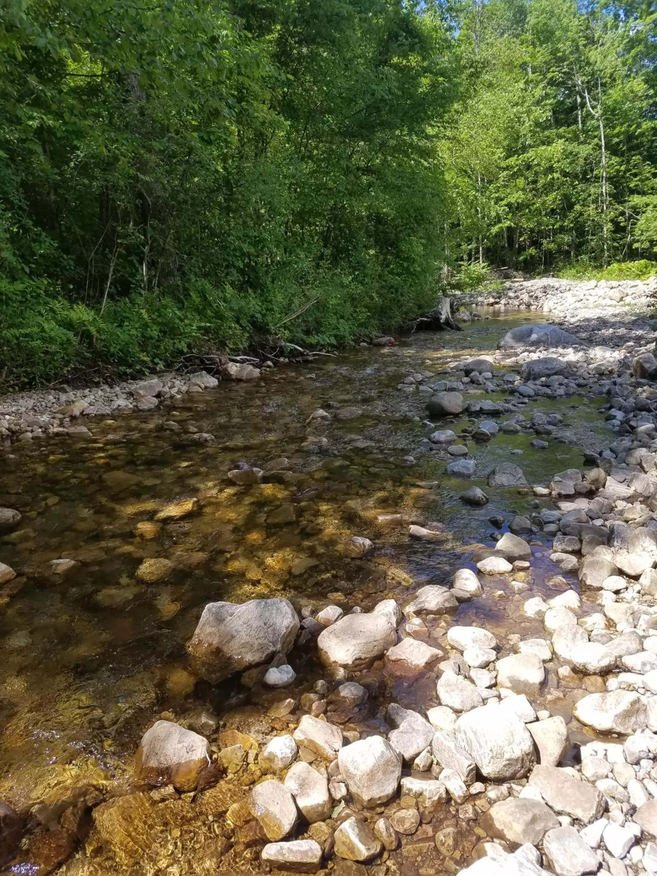 Summer, Natural Landscape in Toll Road Inn