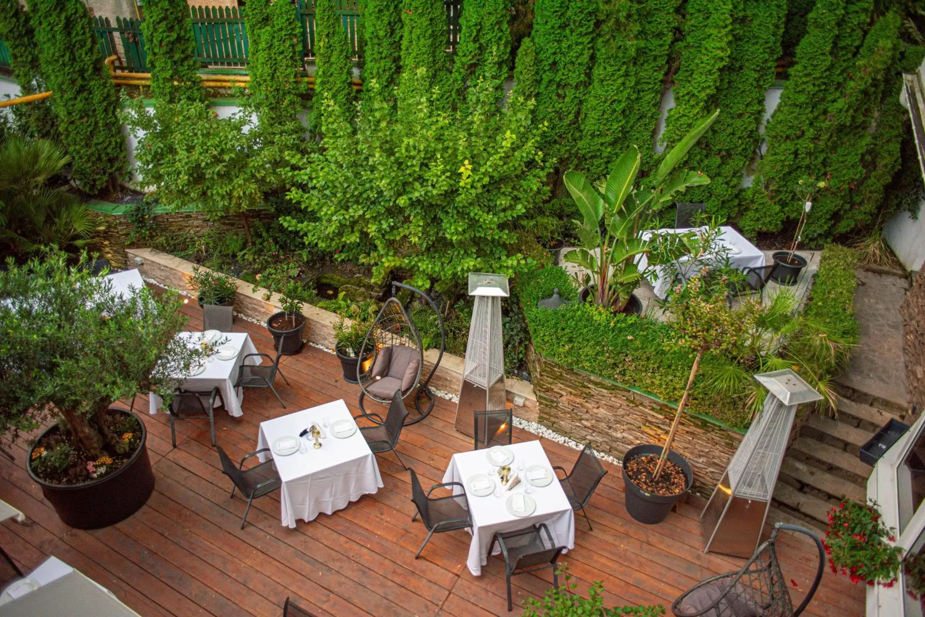 Garden, Restaurant/Places to Eat in Hotel Carpathia