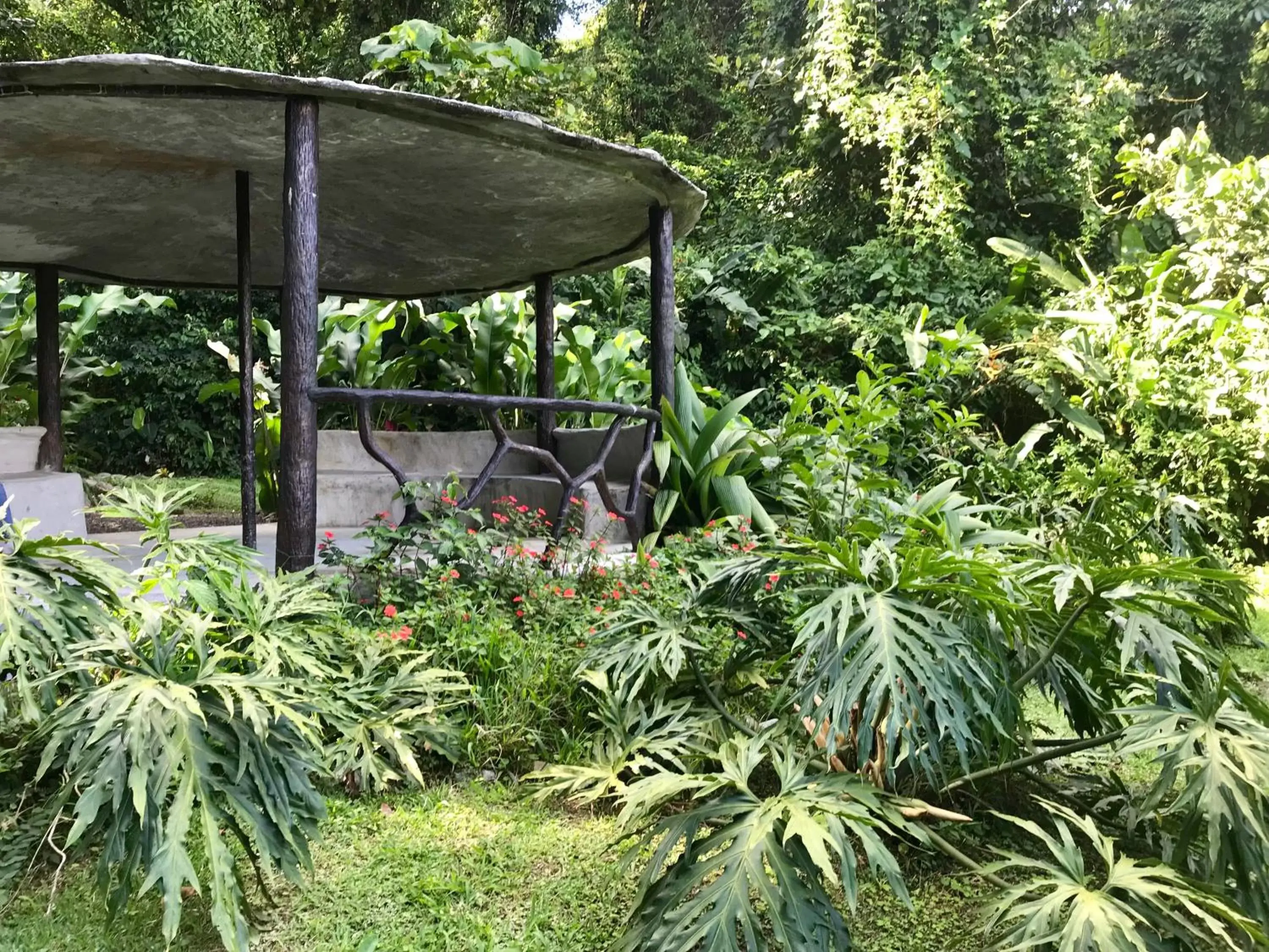 Patio in Arenal Roca Suites