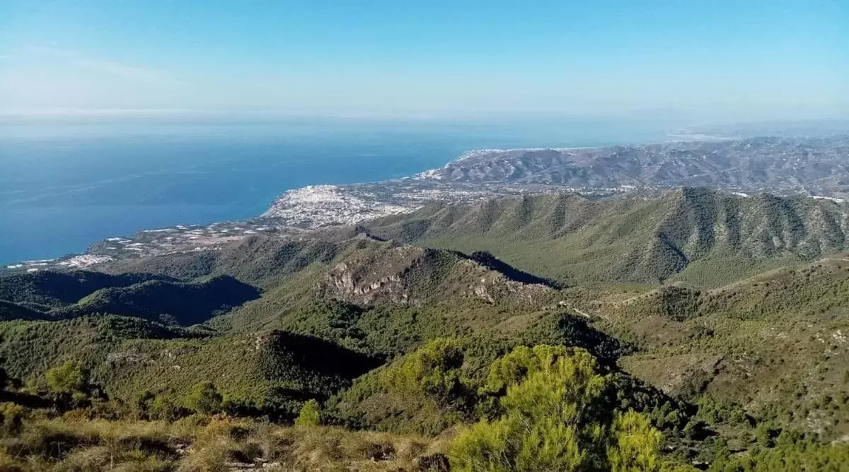 Natural Landscape in Hotel Plaza Cavana