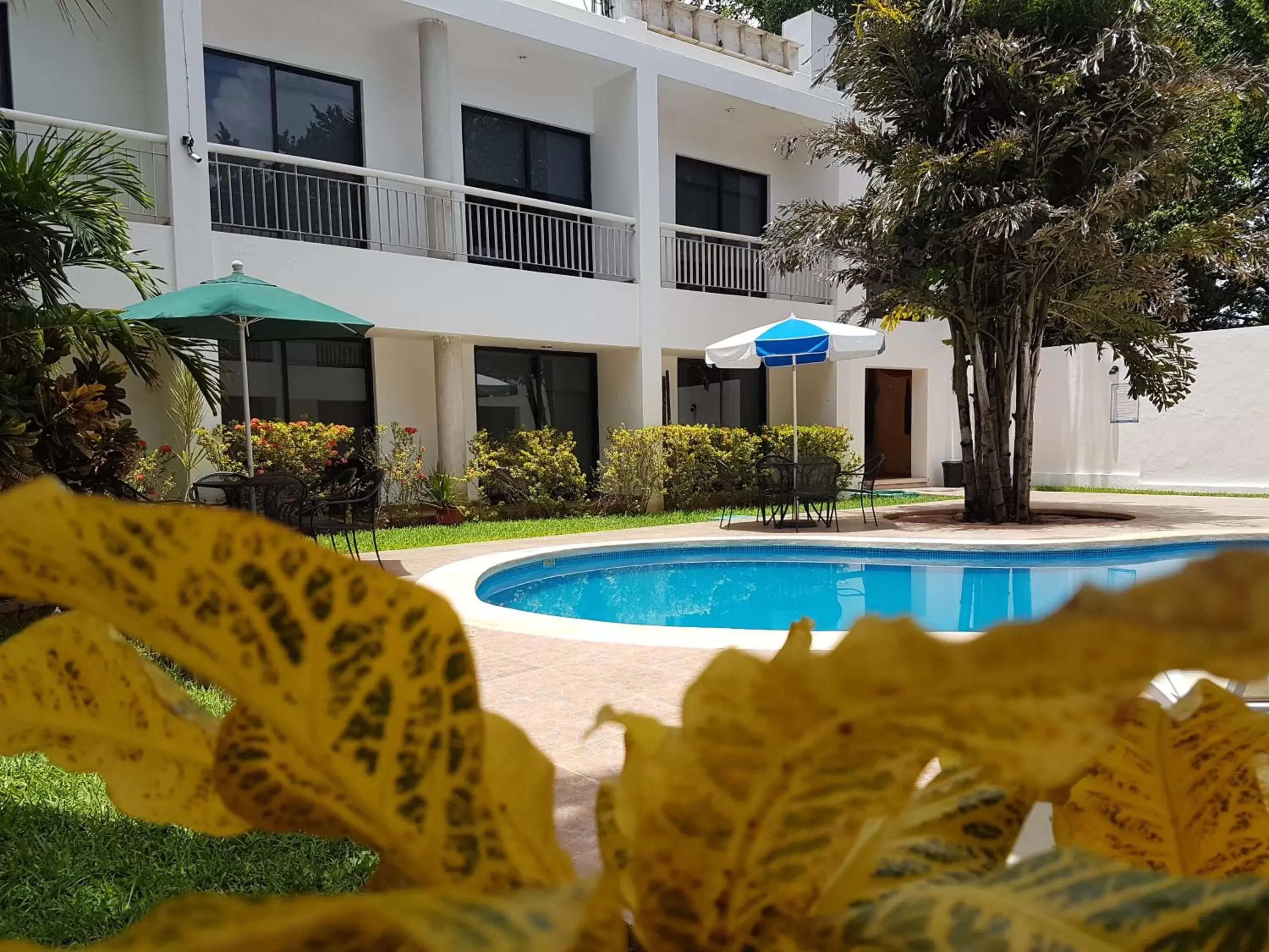 Swimming pool in Hotel Holly