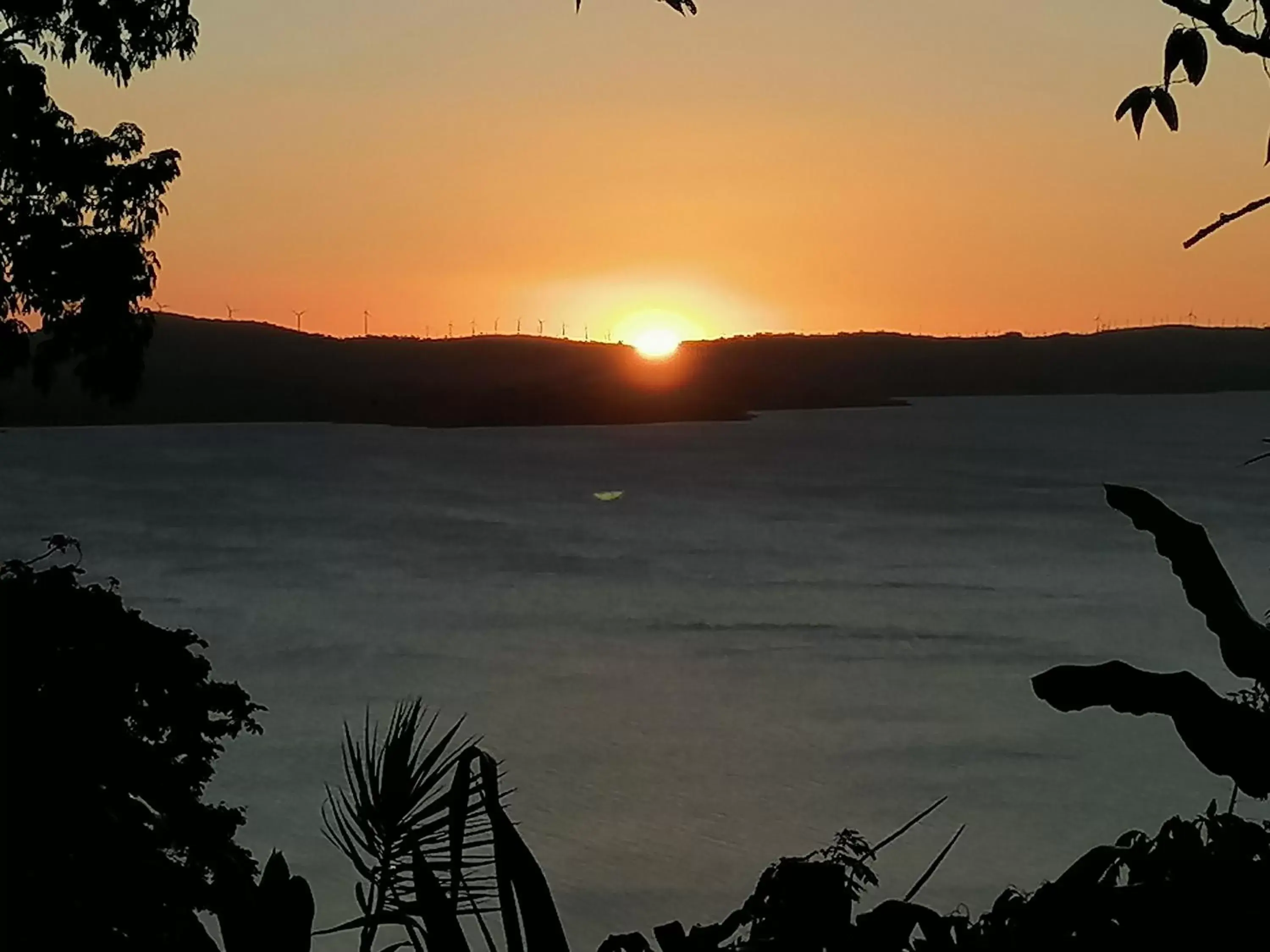 Natural landscape in La Ceiba Tree Lodge