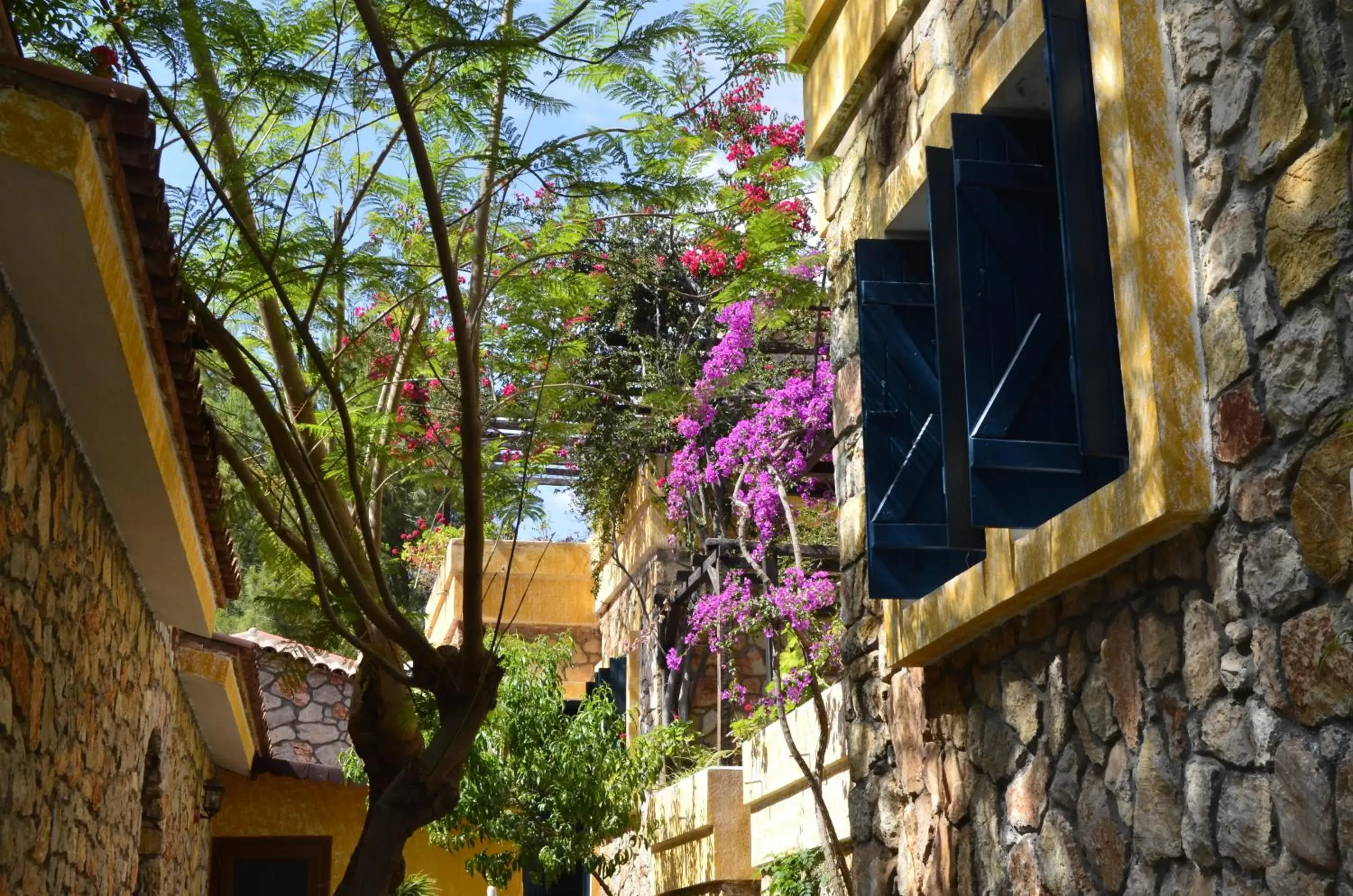 Garden in Symbola Oludeniz Beach Hotel