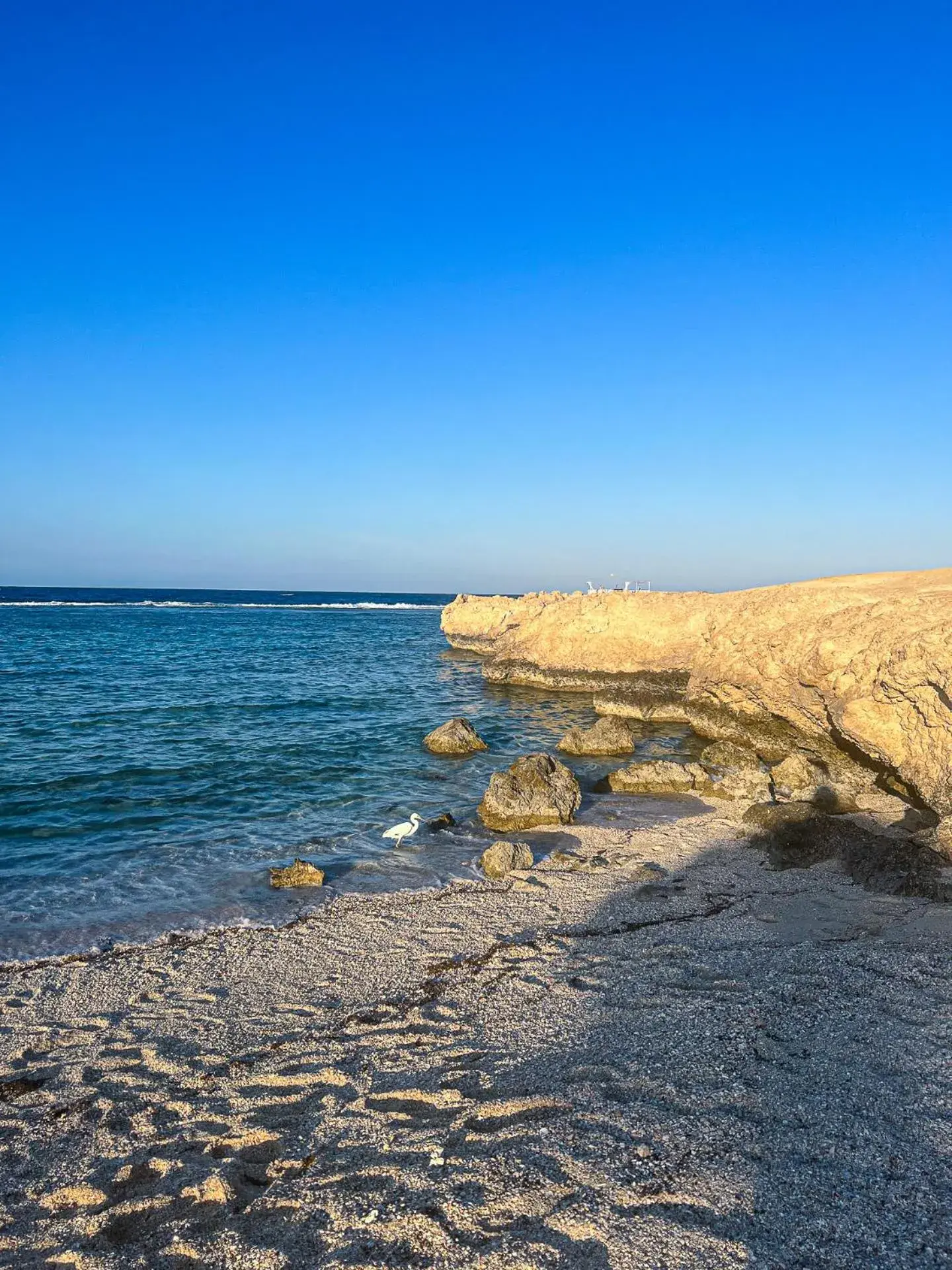 Natural landscape, Beach in Radisson Blu Resort El Quseir