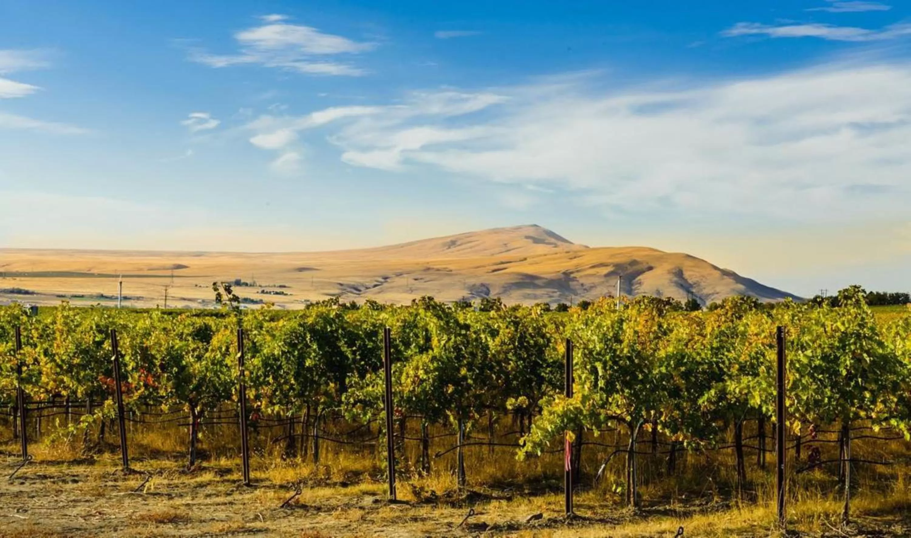 Nearby landmark in Holiday Inn Express & Suites - Union Gap - Yakima Area by IHG