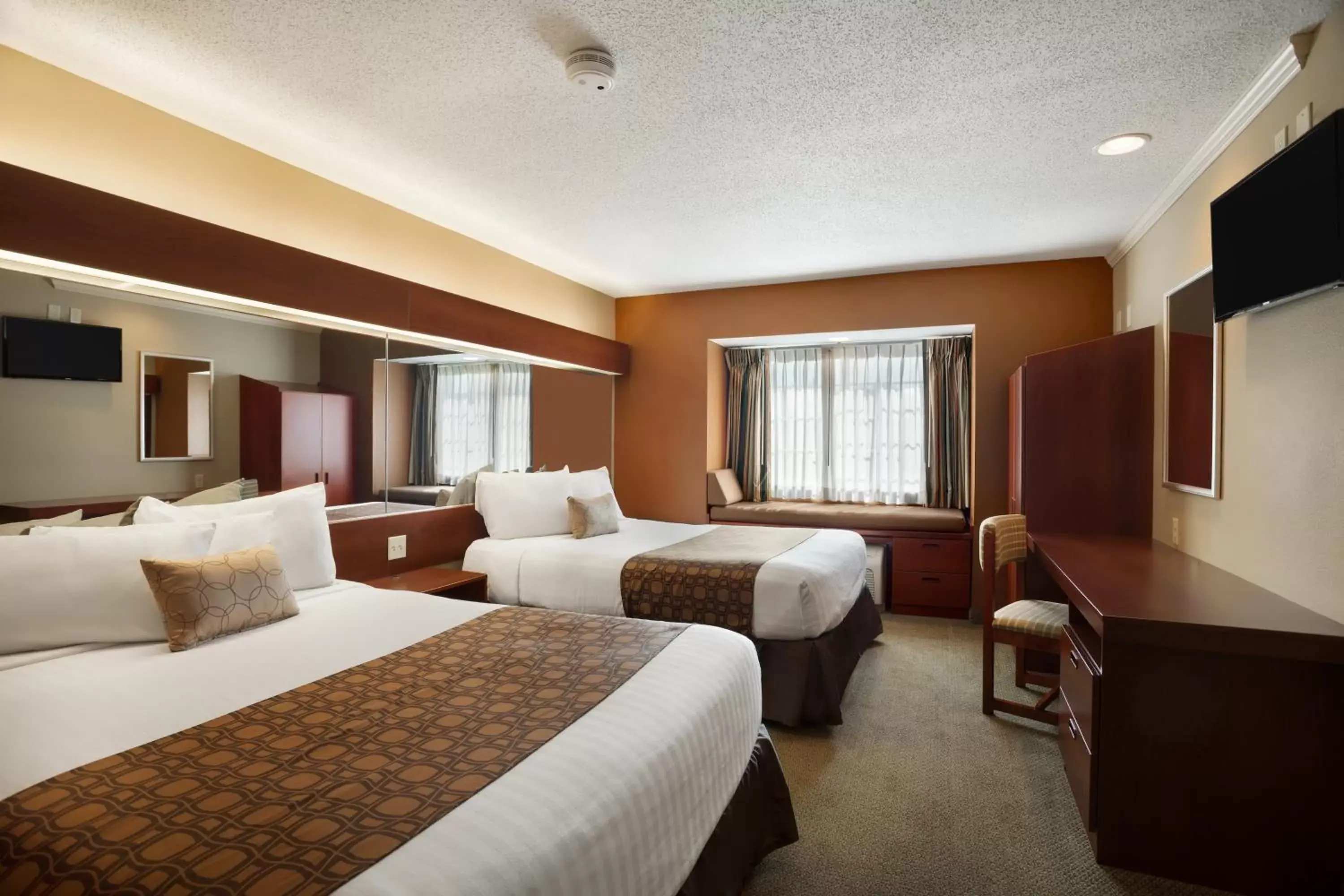 Photo of the whole room, Room Photo in Microtel Inn & Suites Dover by Wyndham