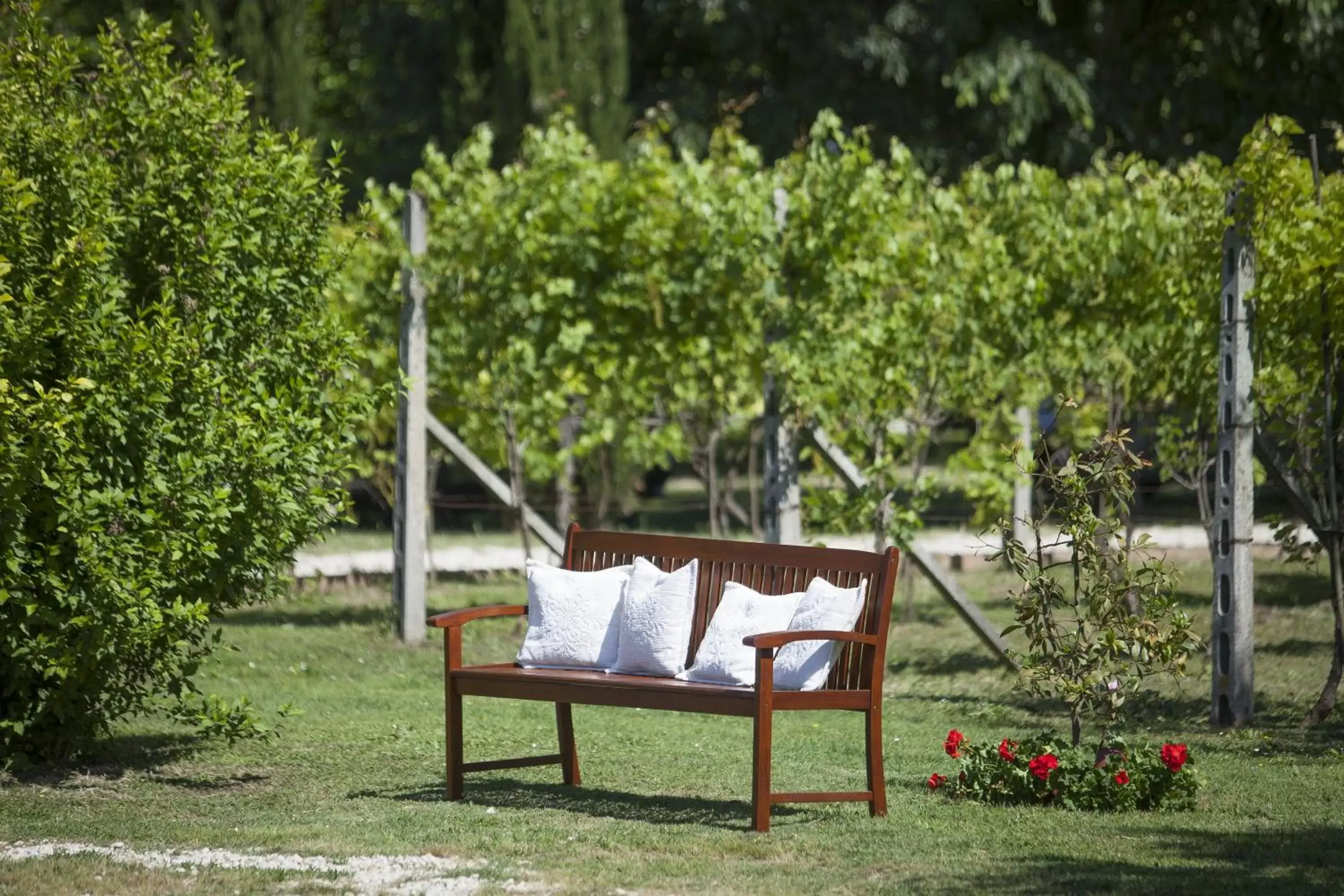 Garden in Antico Casale Spezia Pelagalli