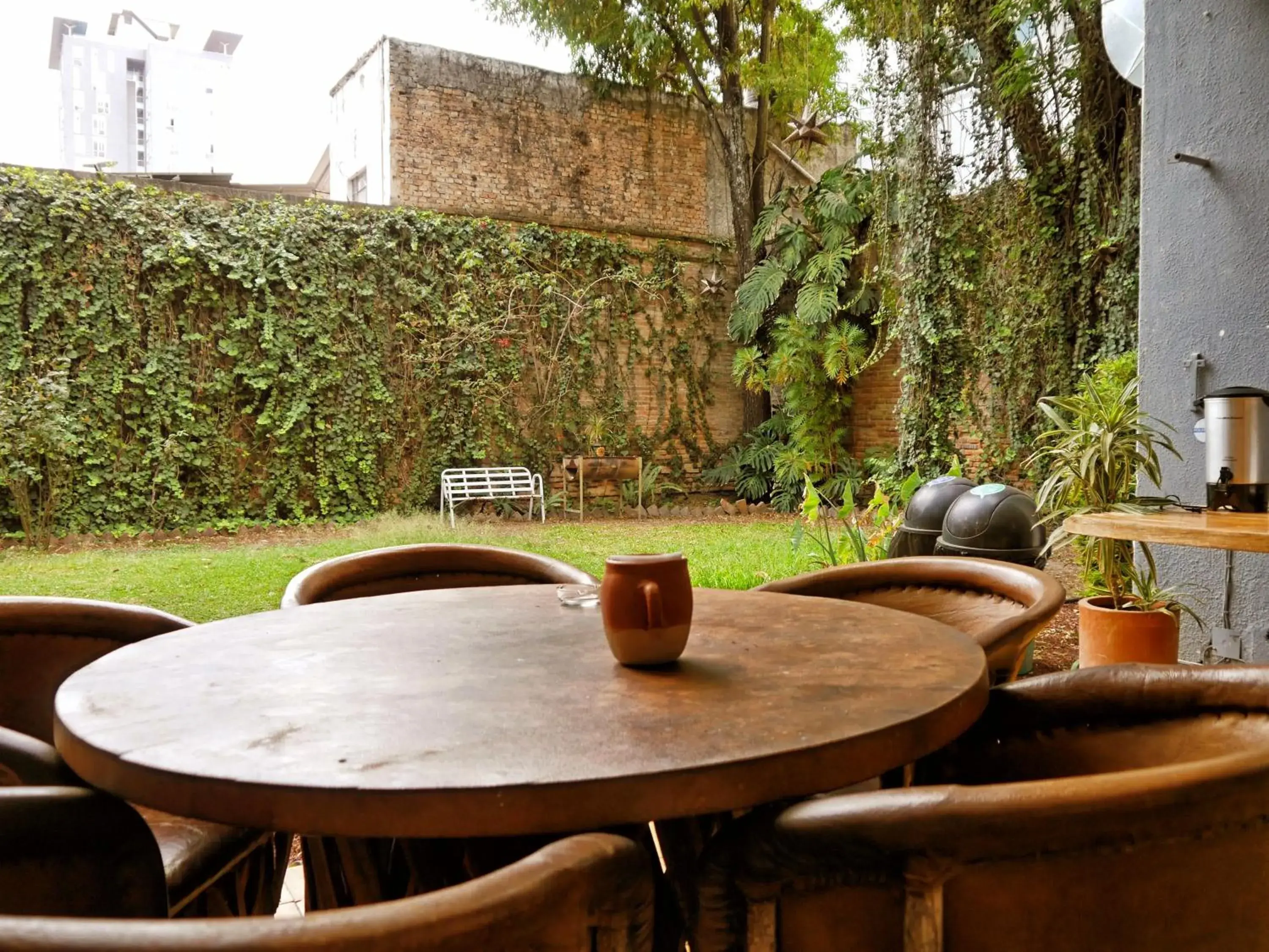 Garden in Hostel Hospedarte Chapultepec