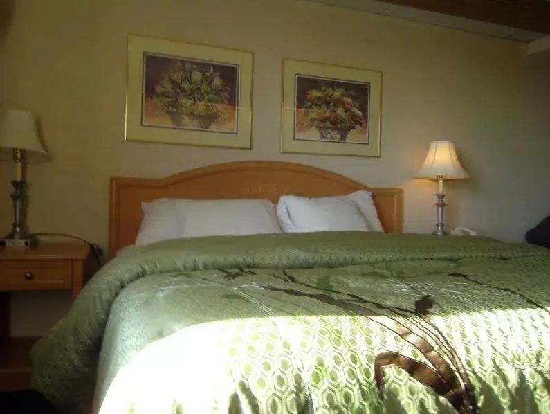 Bed in Pleasant Stay Inn & Suites