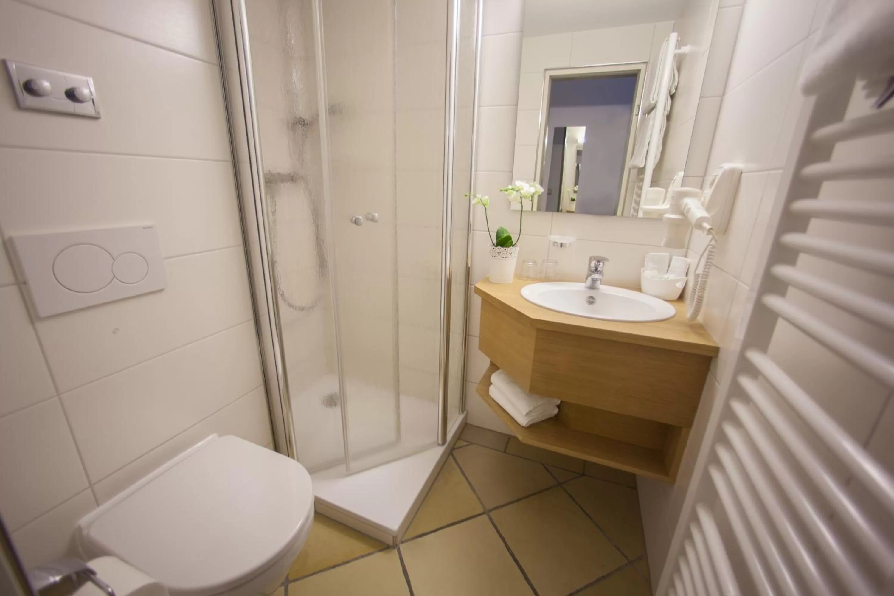 Bathroom in Hotel Wilder Mann