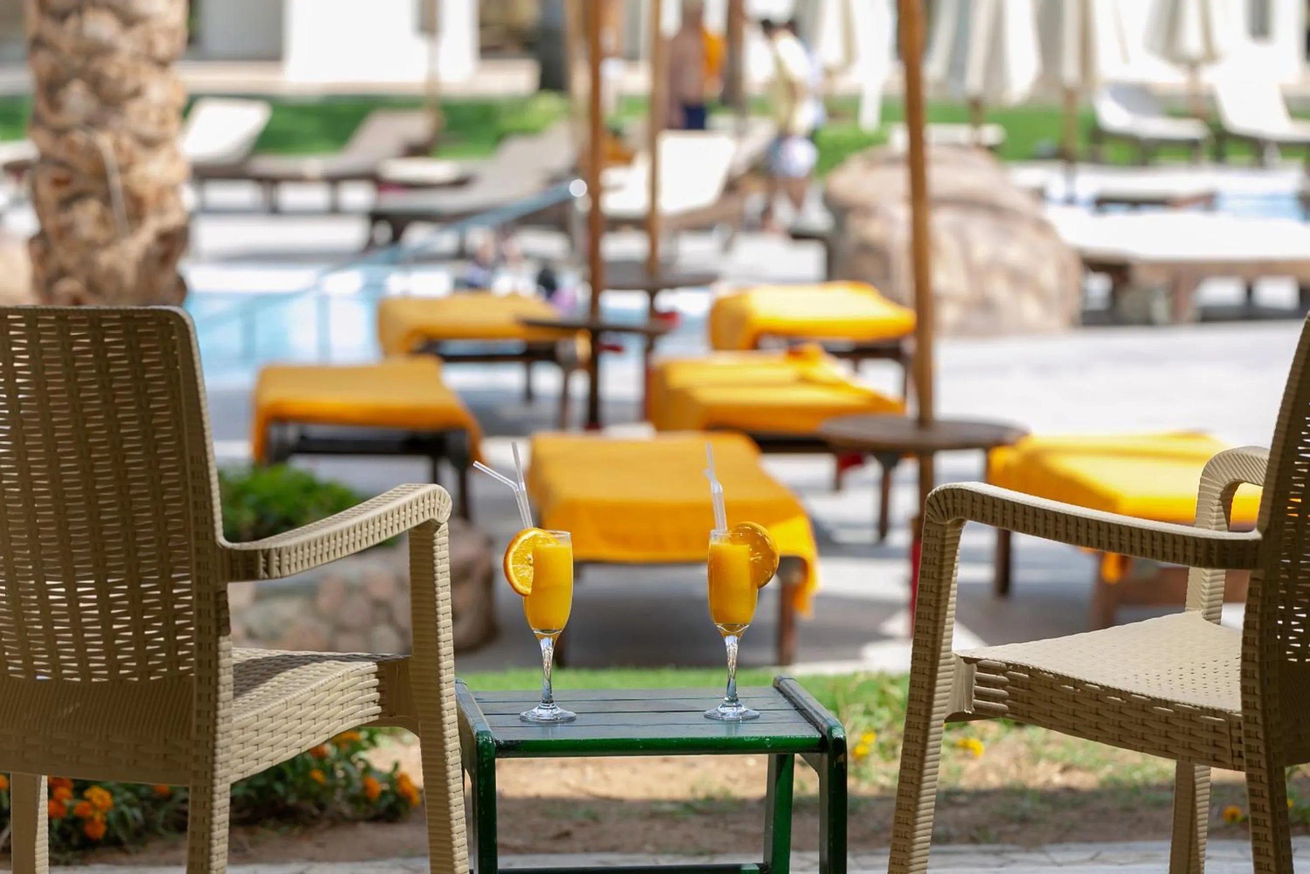 Restaurant/places to eat in Xperience Sea Breeze Resort