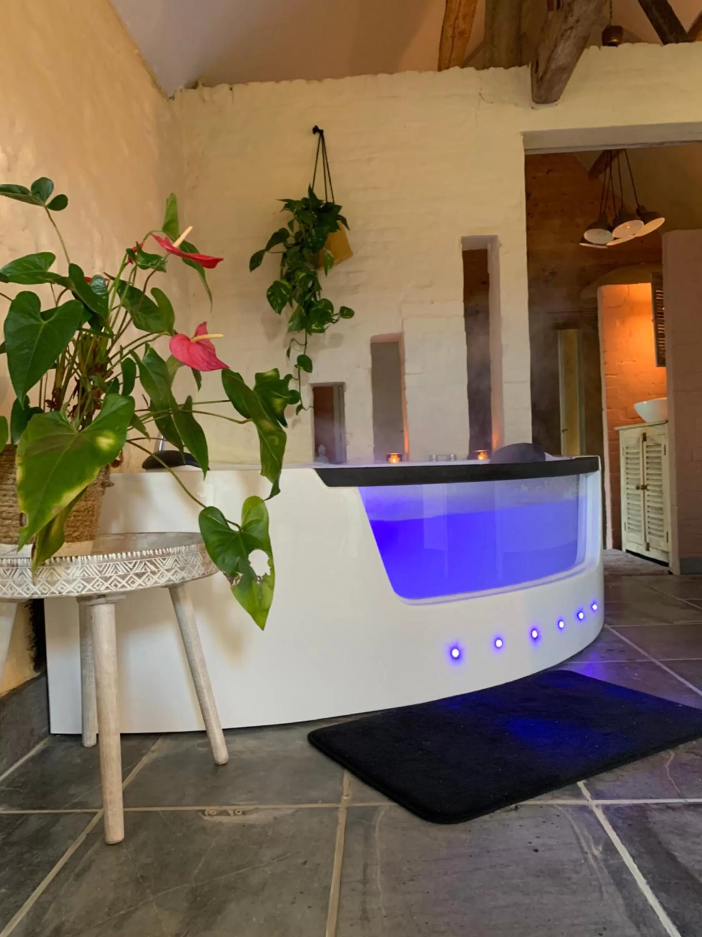 Swimming Pool in Hamiora wellness B&B