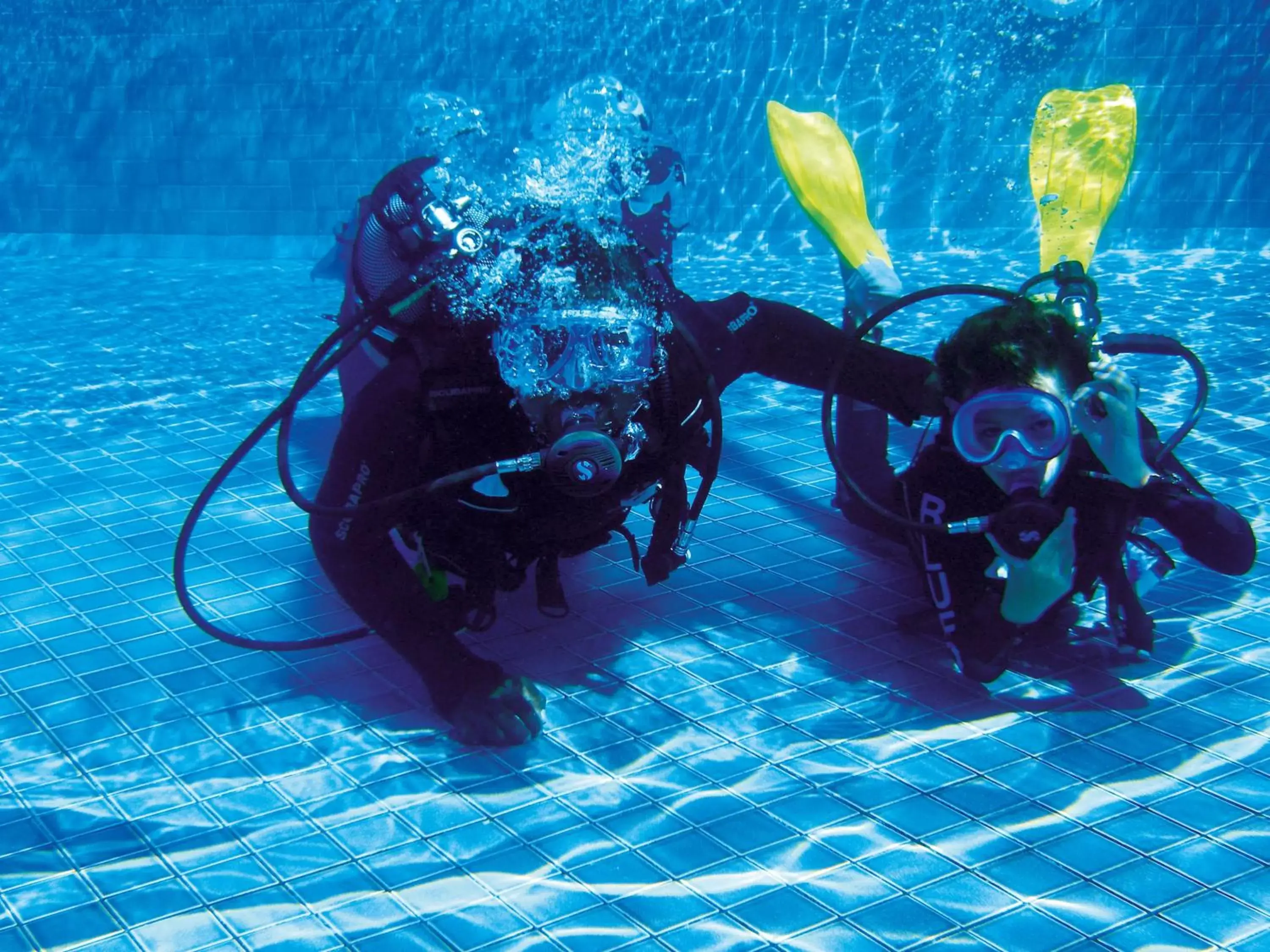 Snorkeling, Snorkeling/Diving in Constance Belle Mare Plage