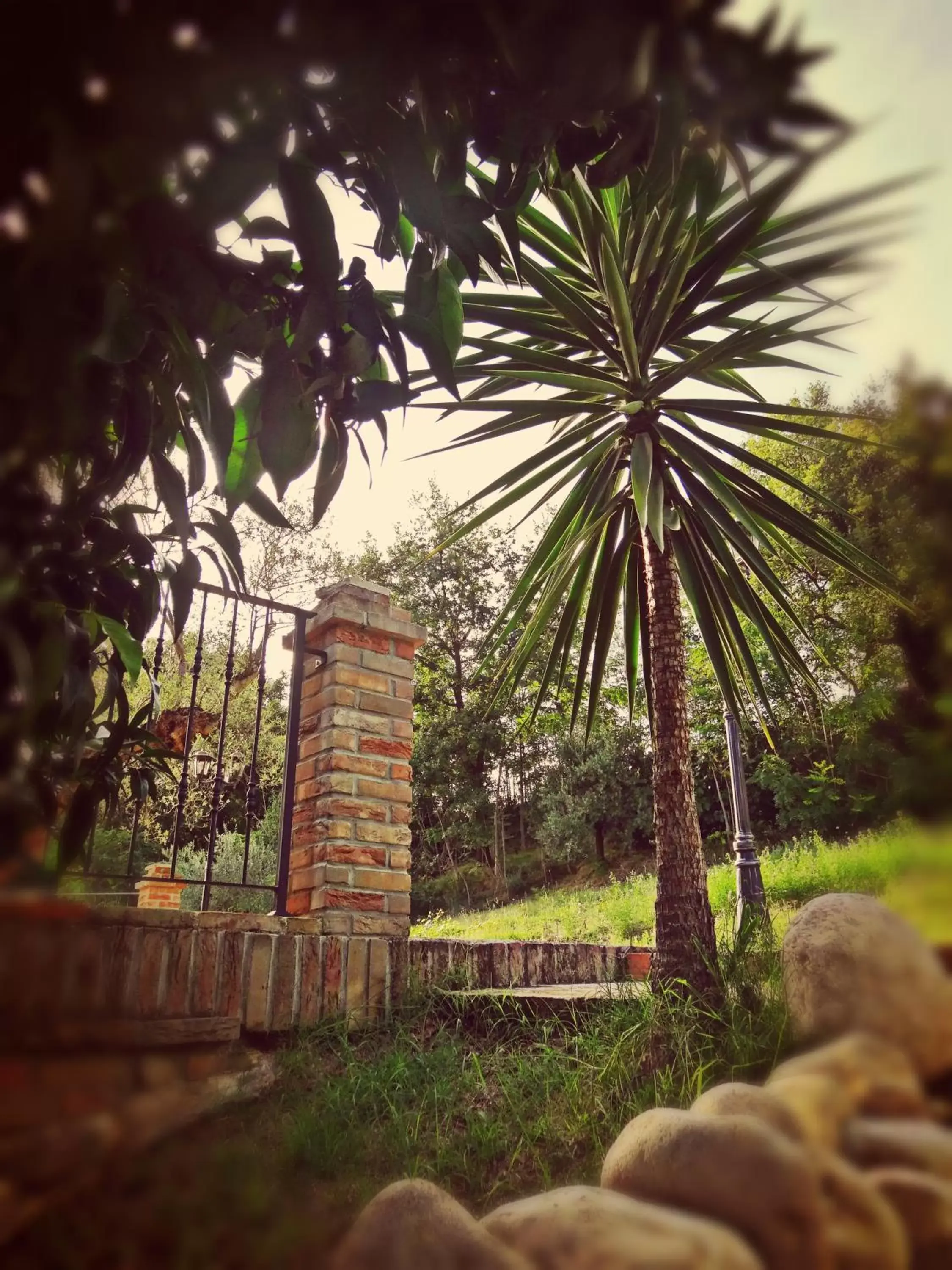 Patio, Garden in Casale del Sole