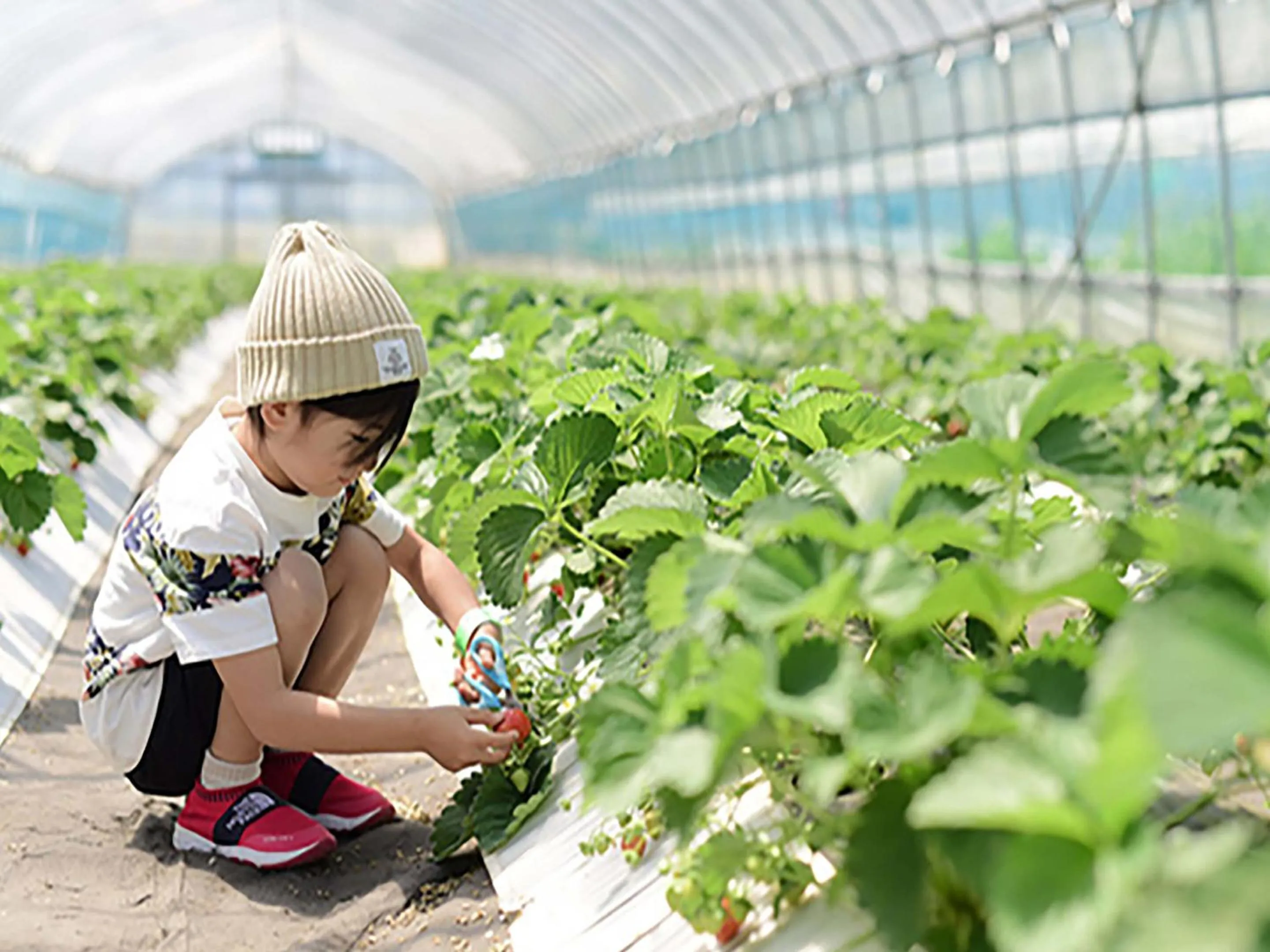 Nearby landmark in Jozankei View Hotel