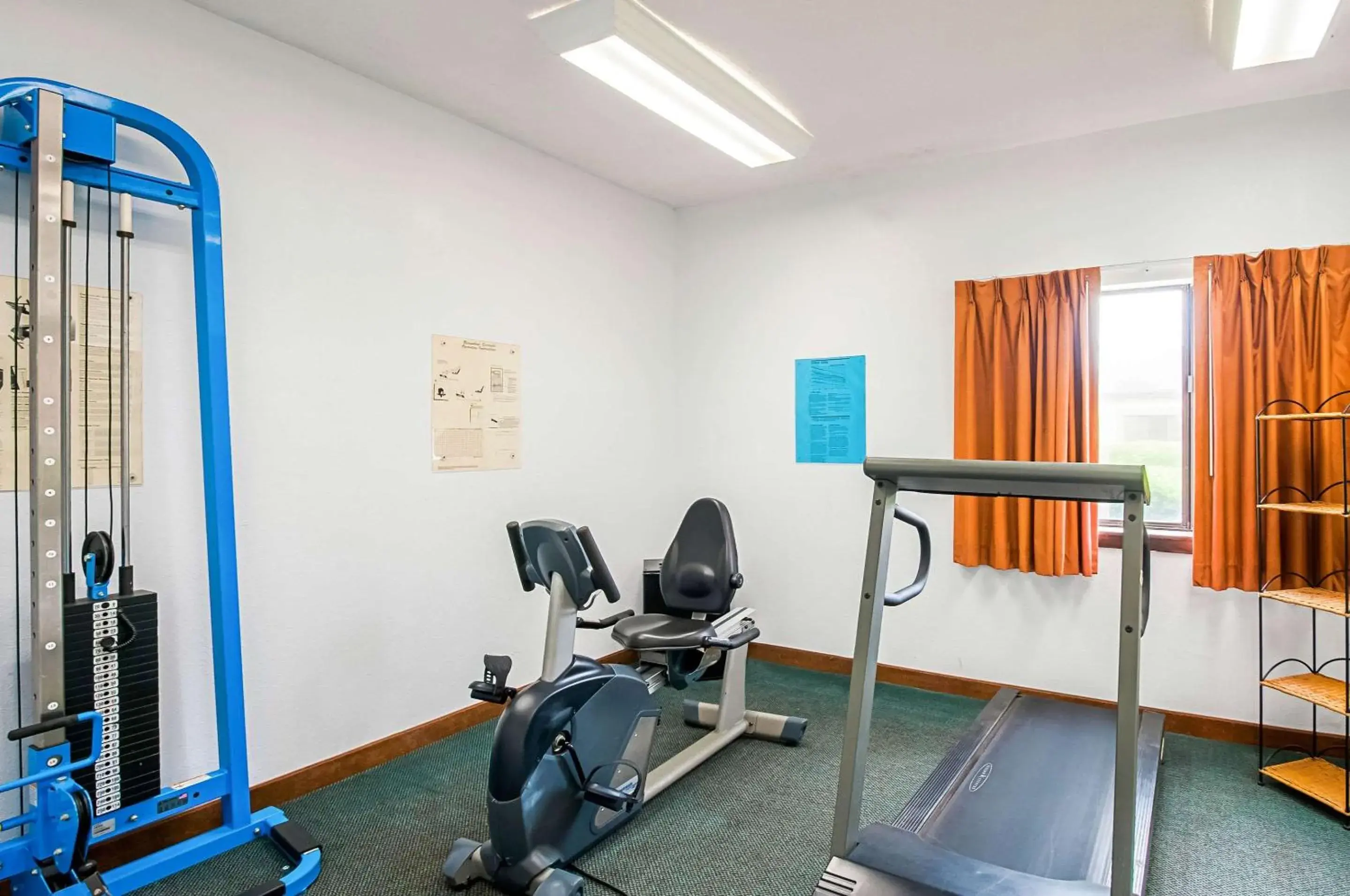 Fitness centre/facilities in Quality Inn Fitness centre/facilities in Quality Inn