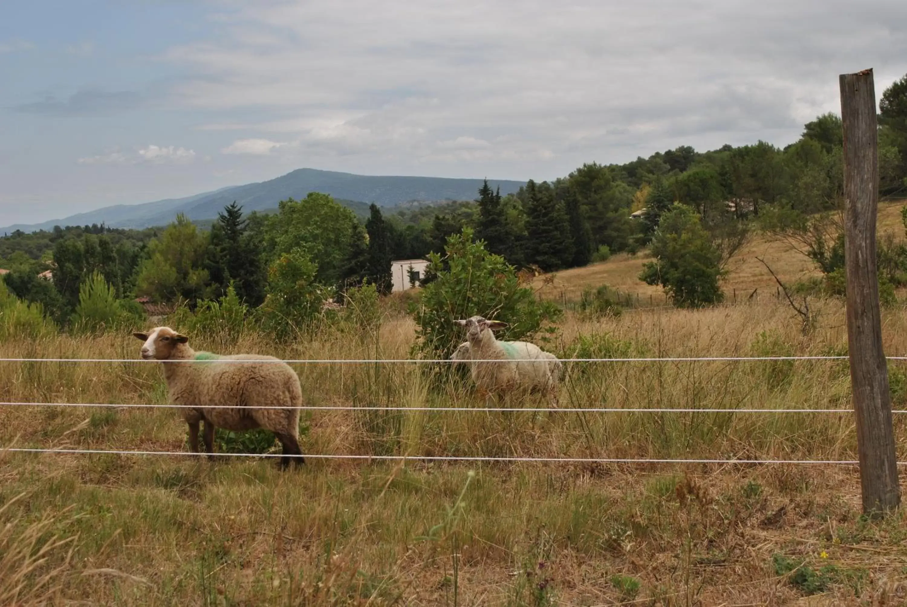 Natural landscape, Other Animals in Chambres d'hôtes & Spa le Relais de la Cavayere