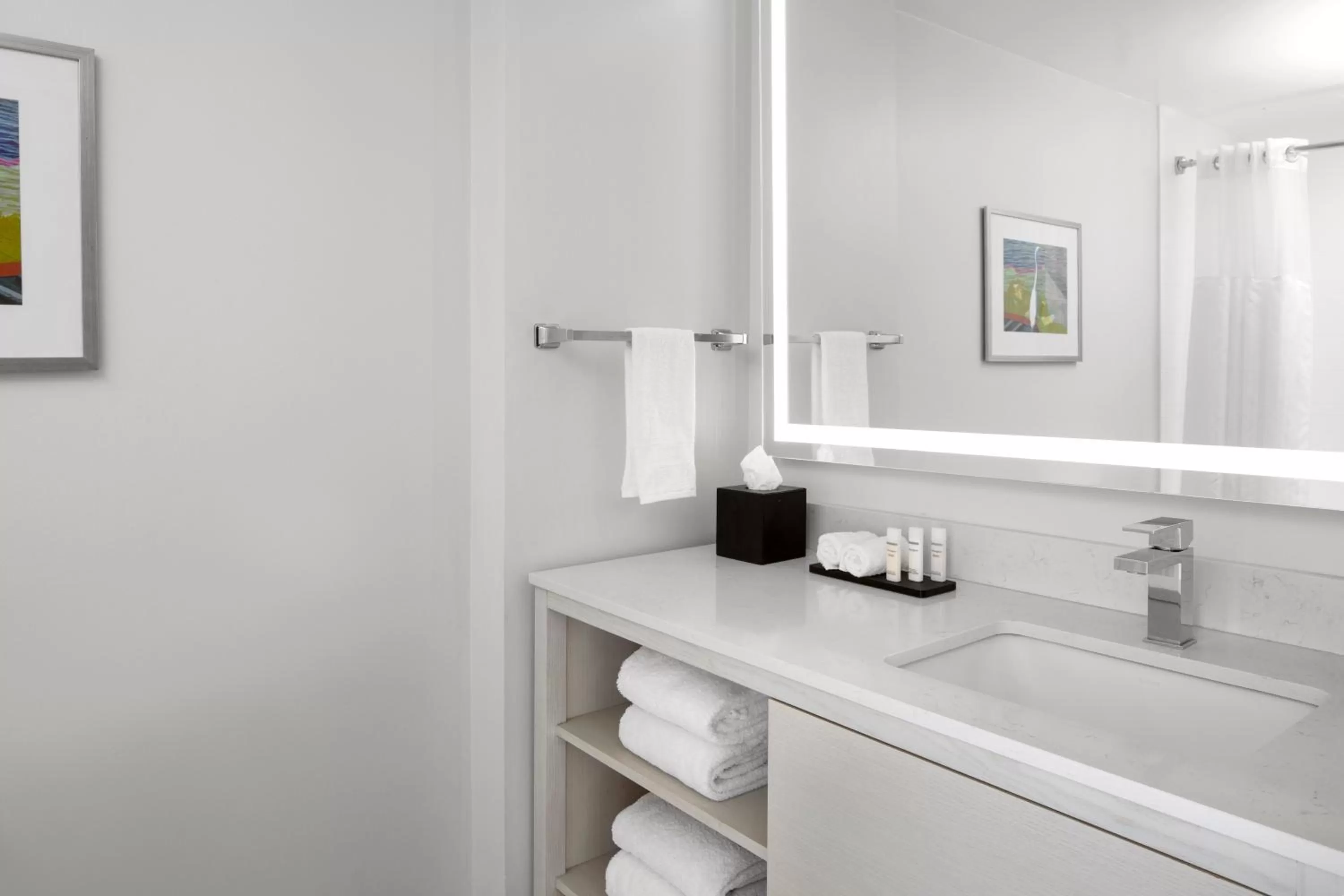 Bathroom in Embassy Suites by Hilton Tampa Airport Westshore